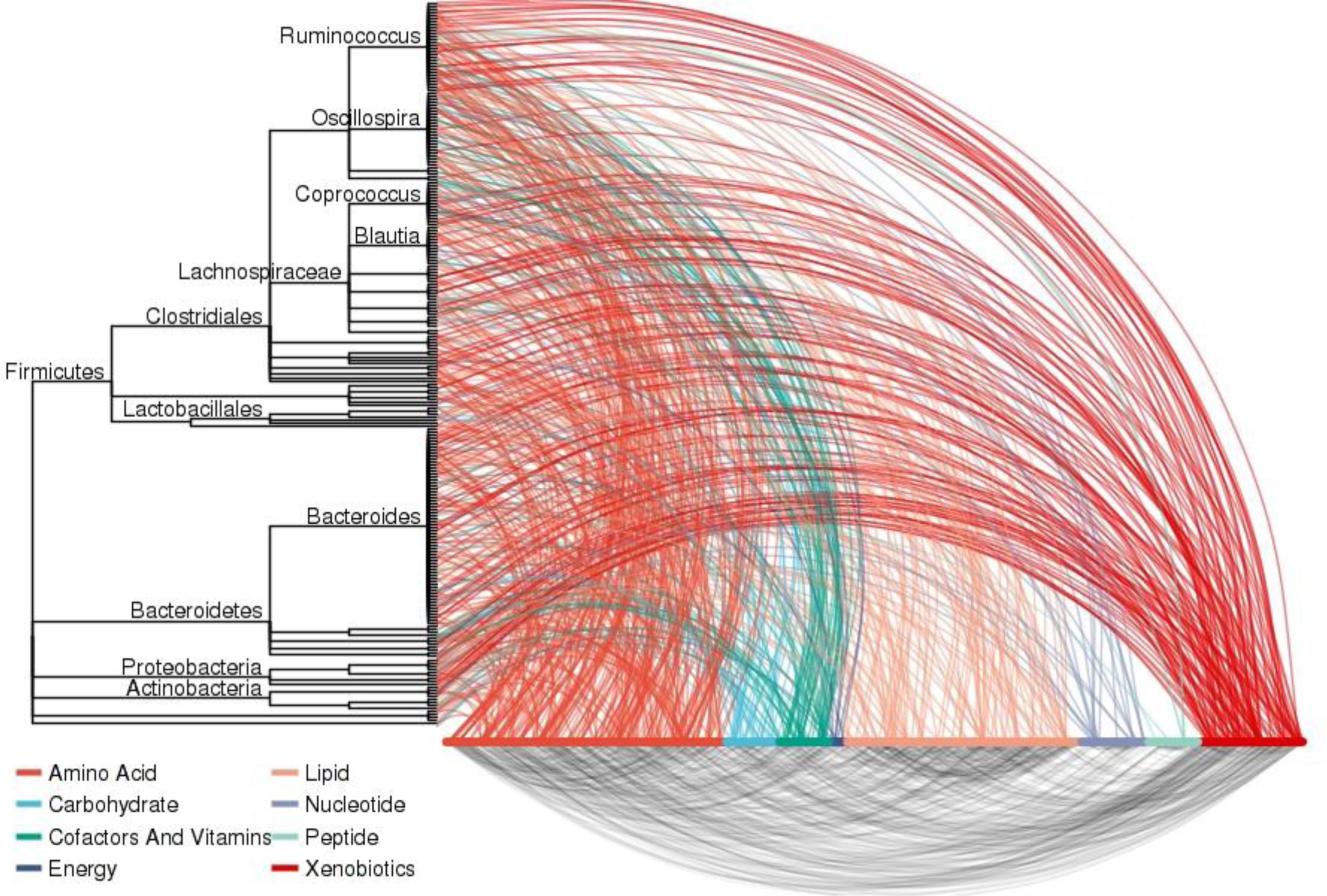 Supplementary Figure 4