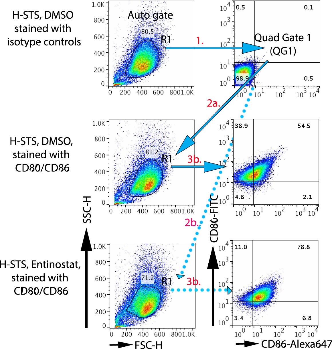 Supplementary Figure 6