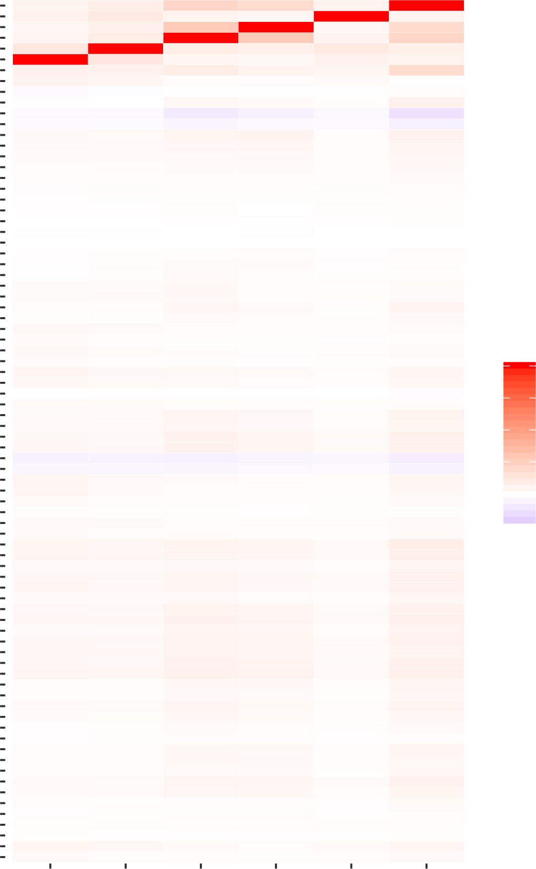 Supplementary Figure 4: Pairwise correlation among all baselineLD model annotations and our six molecular QTL MaxCPP annotations.