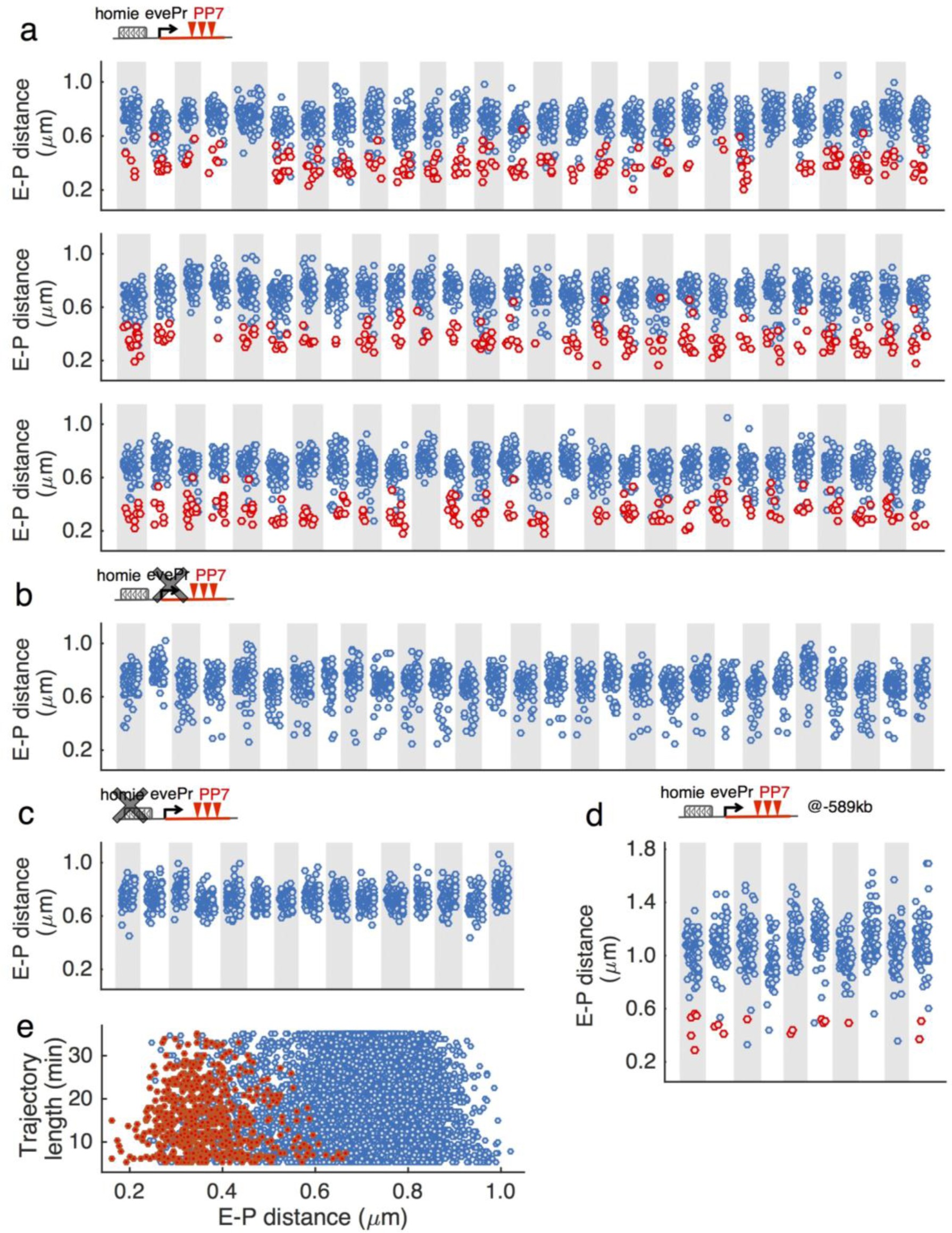 Supplementary Figure 6