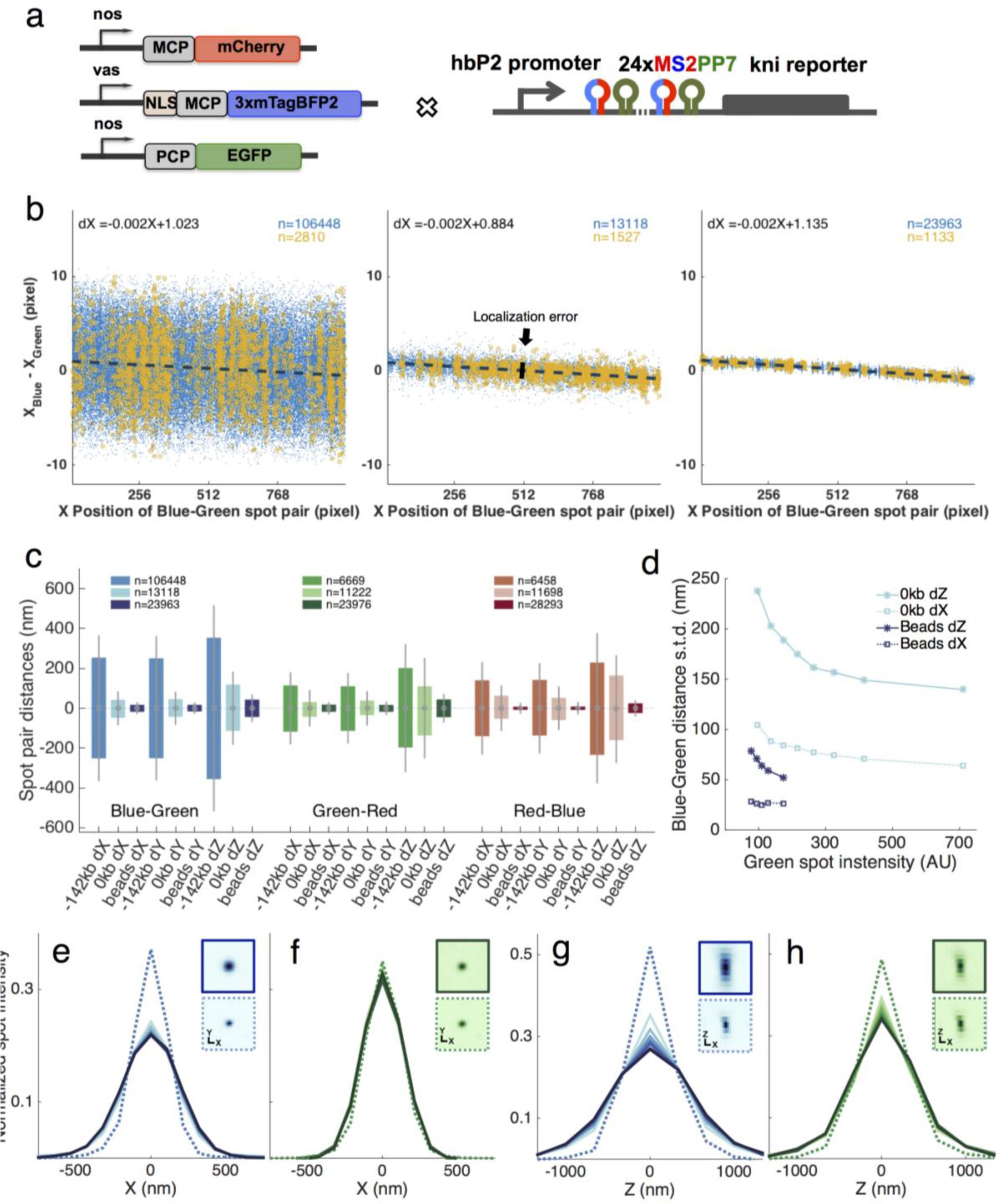 Supplementary Figure 3