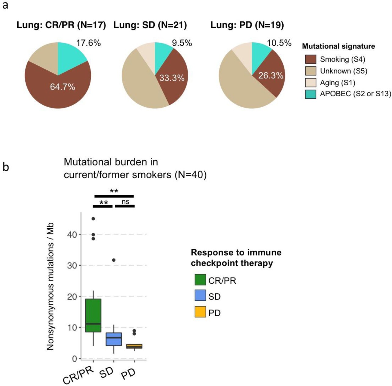 Supplementary Figure 7: Smoking status, tumor mutational burden, and clinical benefit from immune checkpoint therapy.