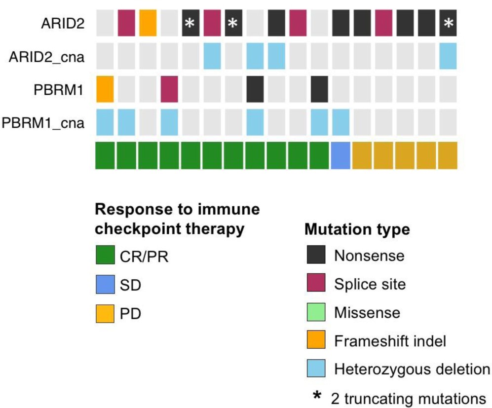 Supplementary Figure 13: Truncating mutations and biallelic deletions of genes encoding SWI/SNF subunits.