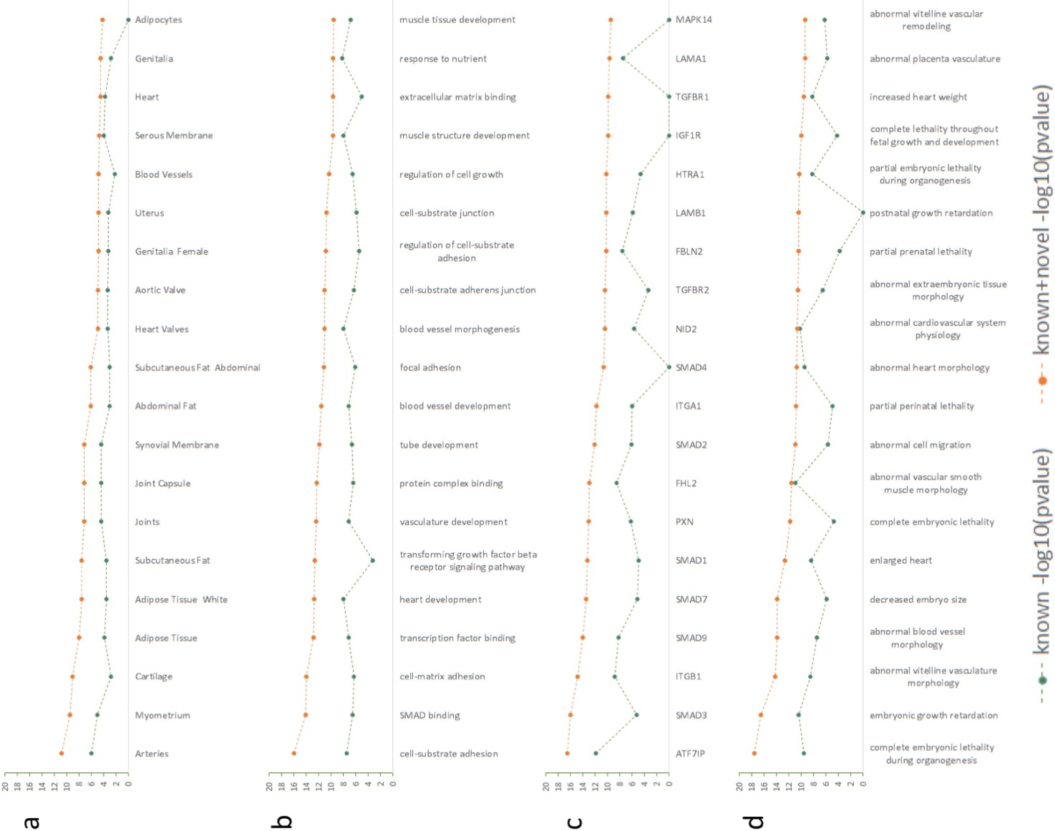 Supplementary Figure 5: DEPICT enrichment analysis.
