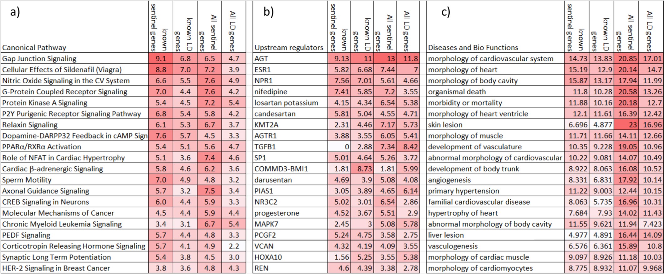 Supplementary Figure 8: Ingenuity pathway analysis of blood pressure genes.
