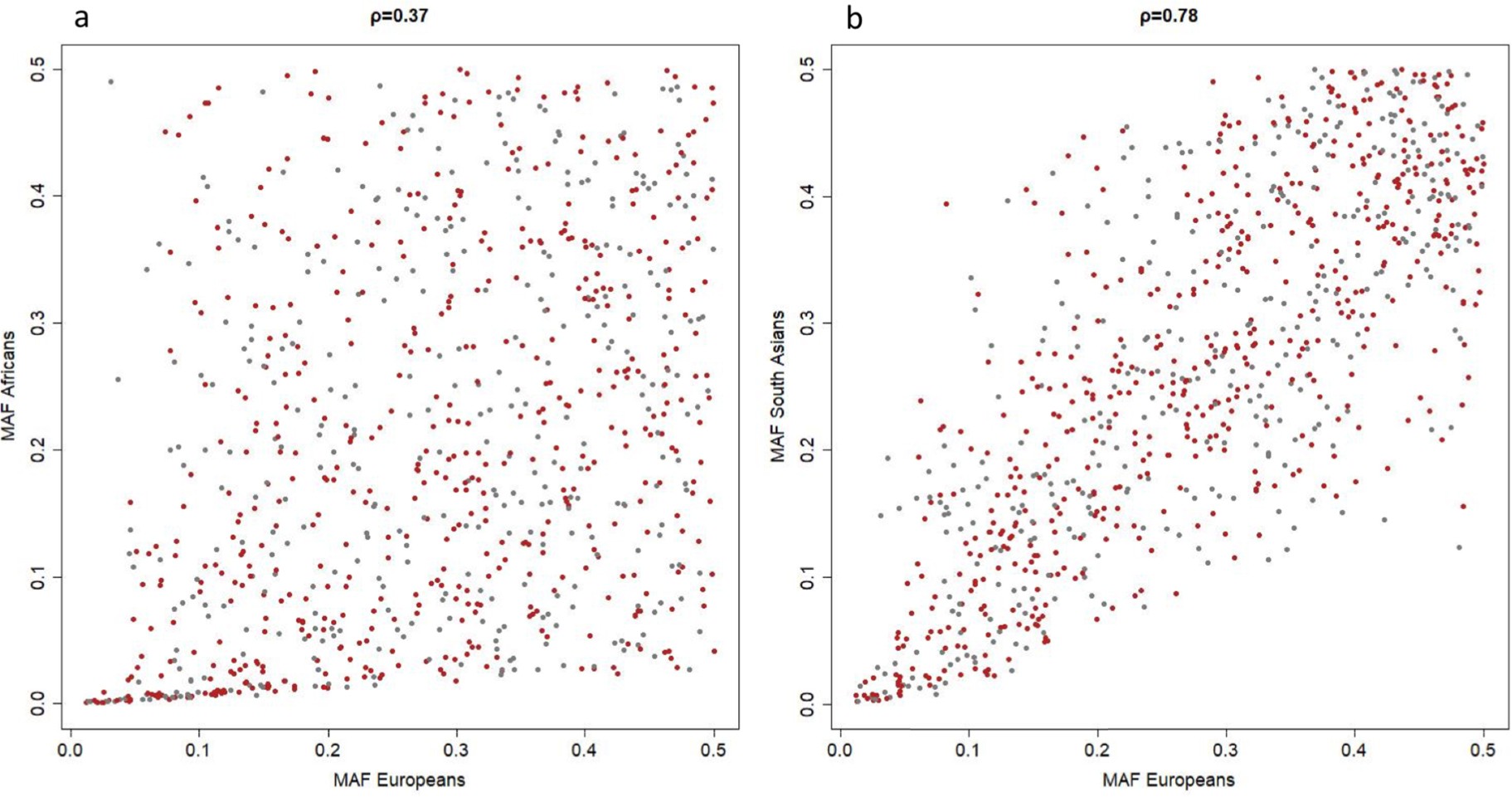 Supplementary Figure 11: Correlation and distribution of minor allele frequencies of blood pressure variants in individuals of European (n = 757,601), African (n = 7,782) and South Asian (n = 10,323) ancestry.