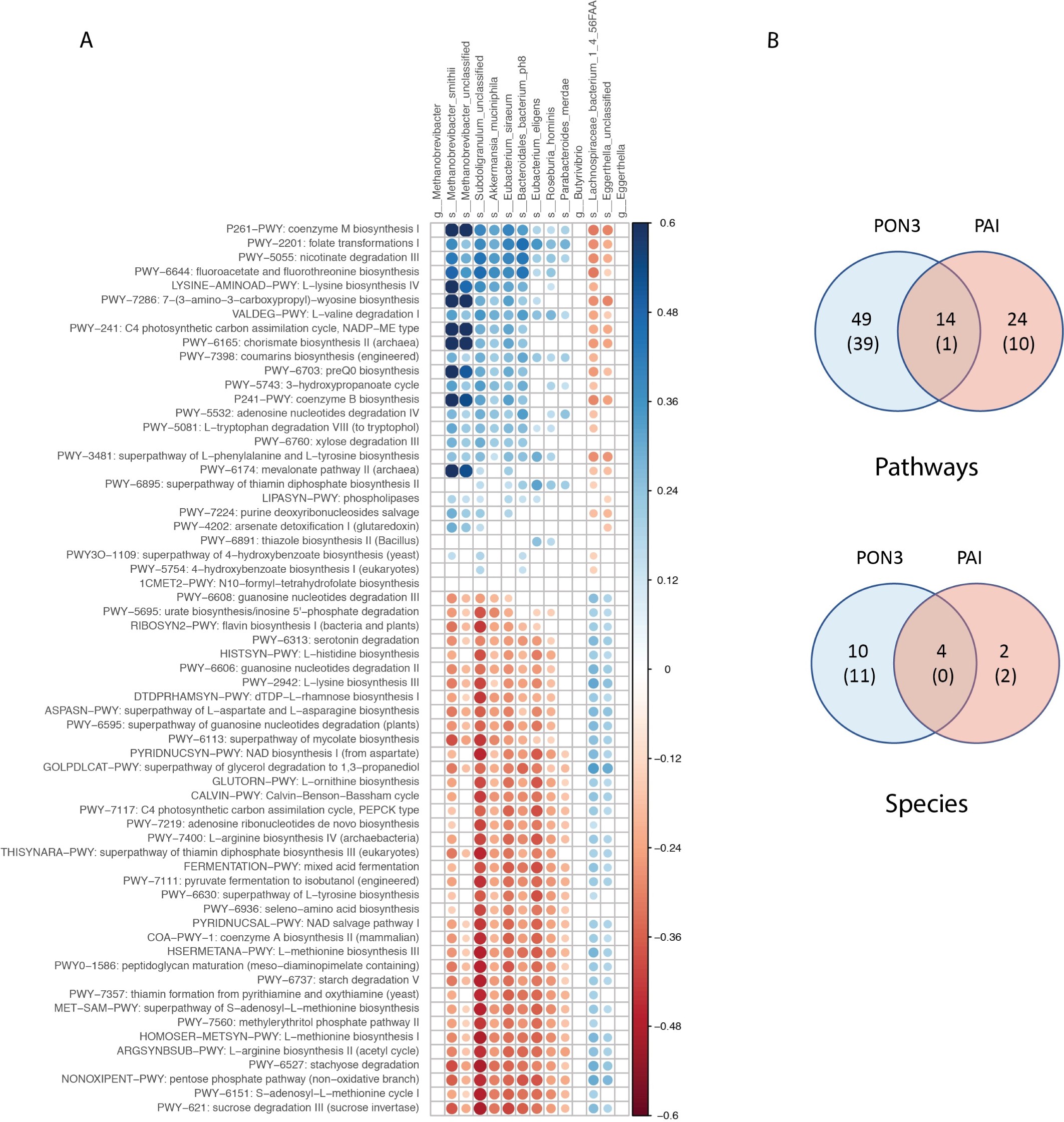 Supplementary Figure 11: PON3-PAI cluster microbiome associations.