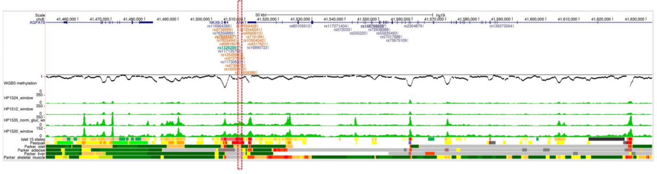 Supplementary Figure 7: Epigenome landscape of the ANK1 locus.