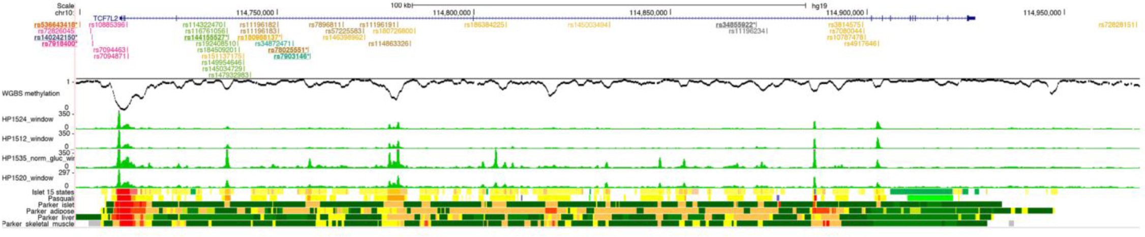 Supplementary Figure 8: Epigenome landscape of the TCF7L2 locus.