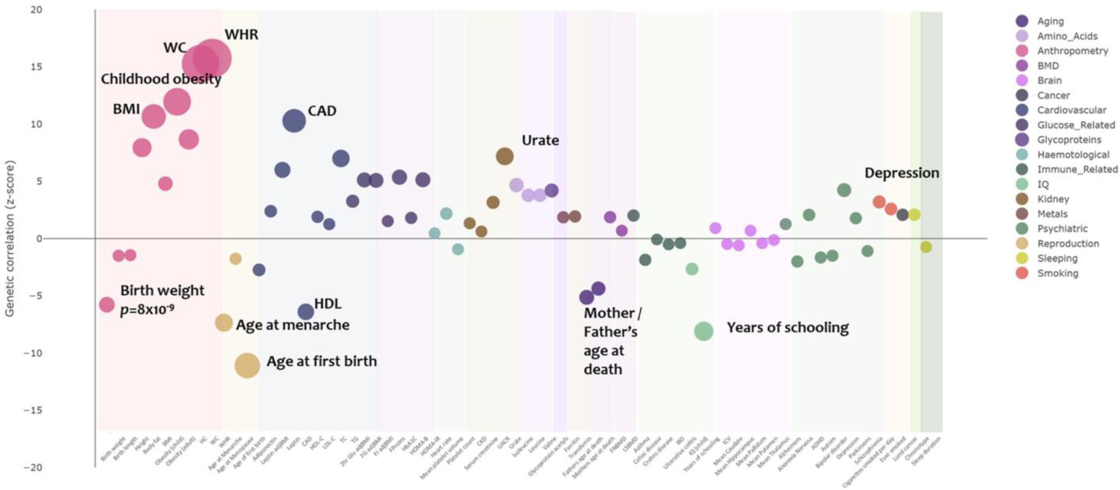 Supplementary Figure 11: Genetic correlations between T2D and biomedically relevant traits, estimated by LD-score regression implemented in LDHub.