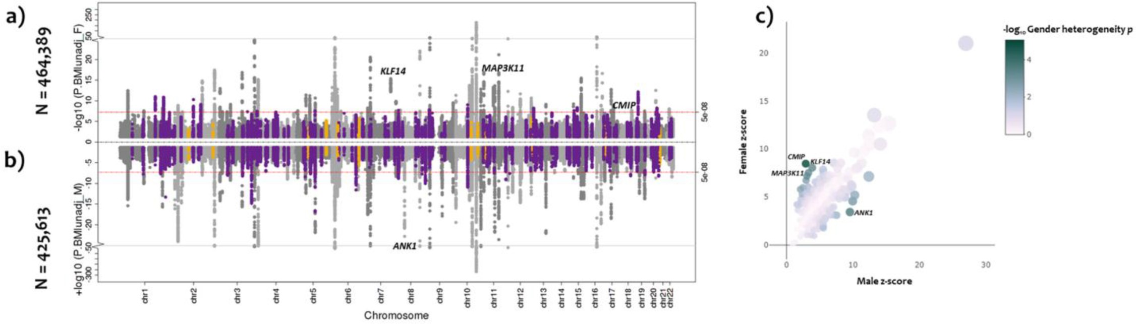 Supplementary Figure 1: Sex-differentiated analyses.