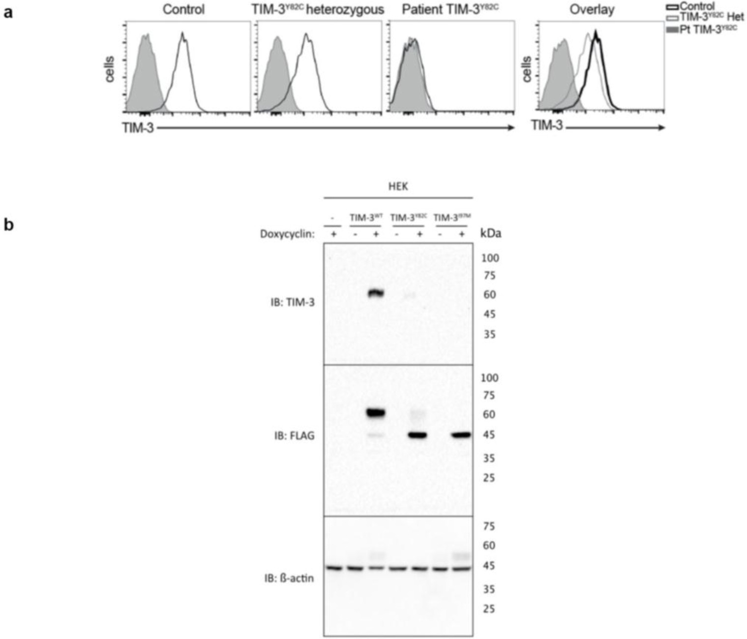 Supplementary Figure 3