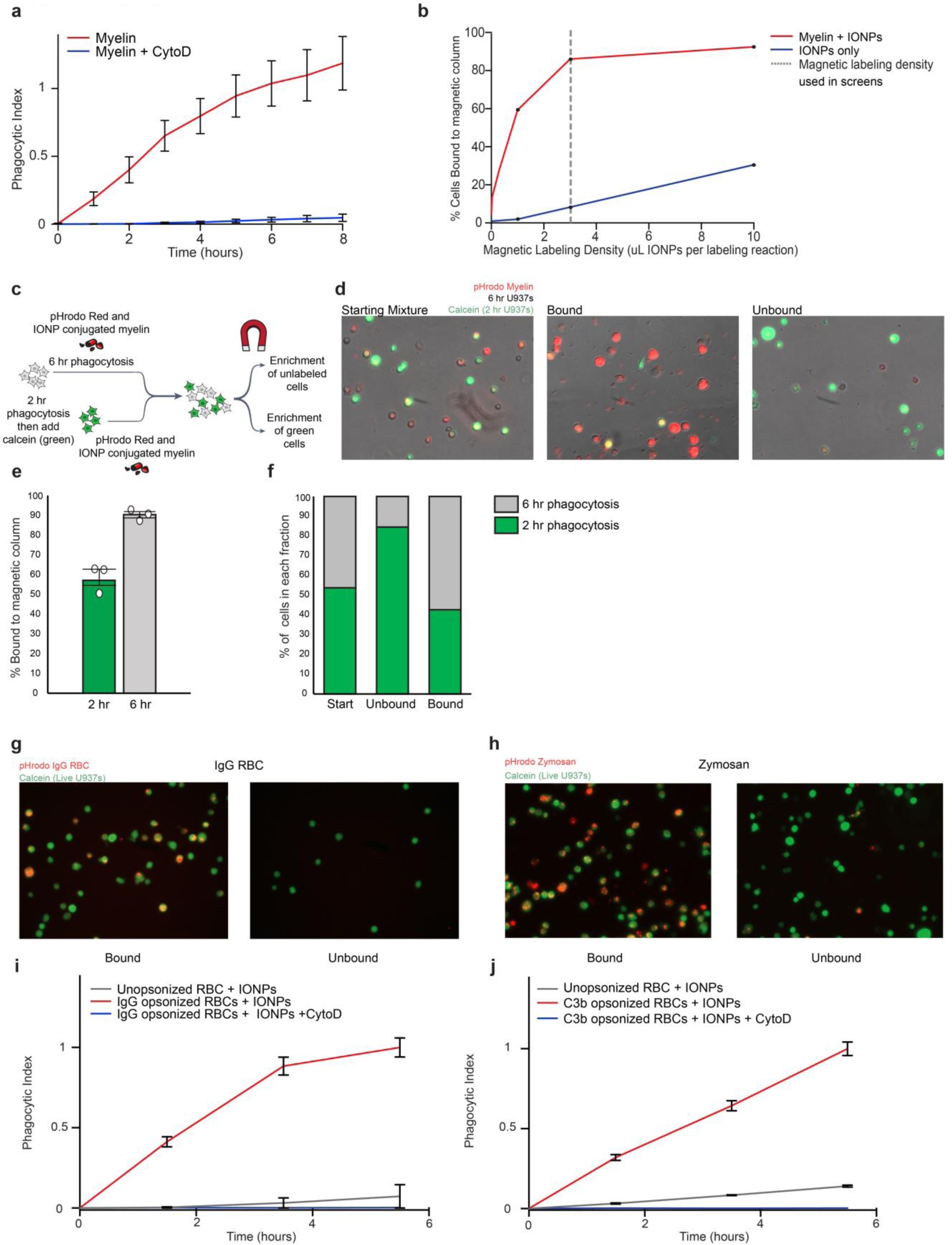 Supplementary Figure 2: Generalization of the magnetic based phagocytosis screening method to diverse substrates.