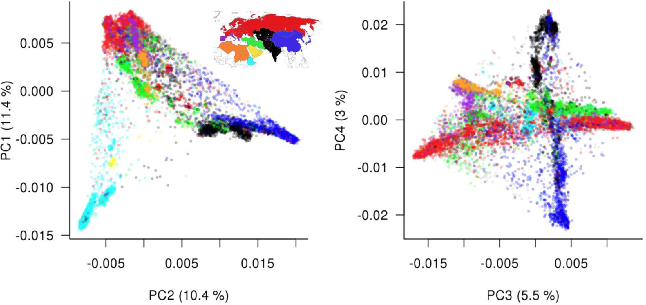 Supplementary Figure 3: PCA with 15,872 markers with a minor allele frequency ≧ 5 %.