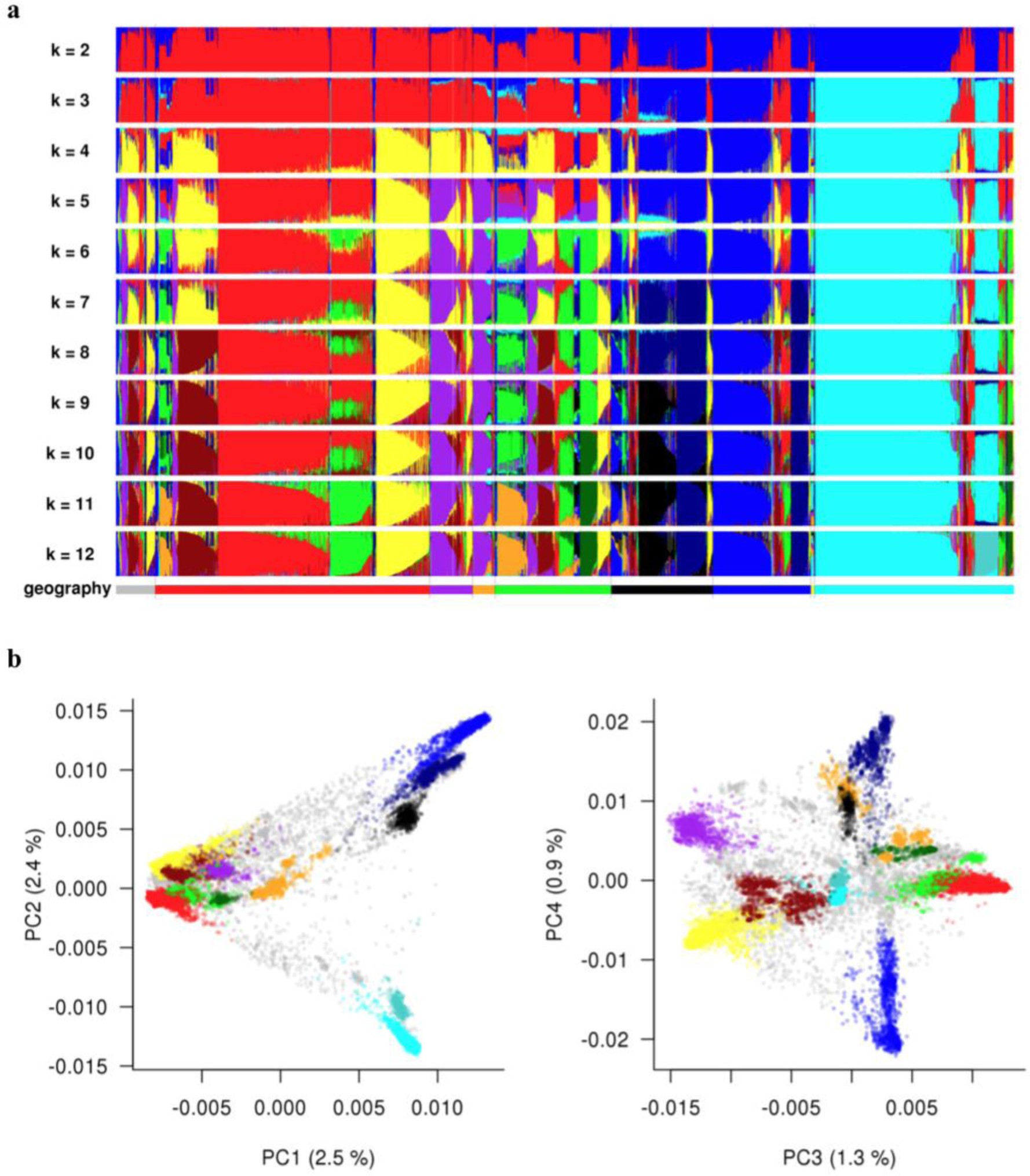Supplementary Figure 4: ADMIXTURE results.