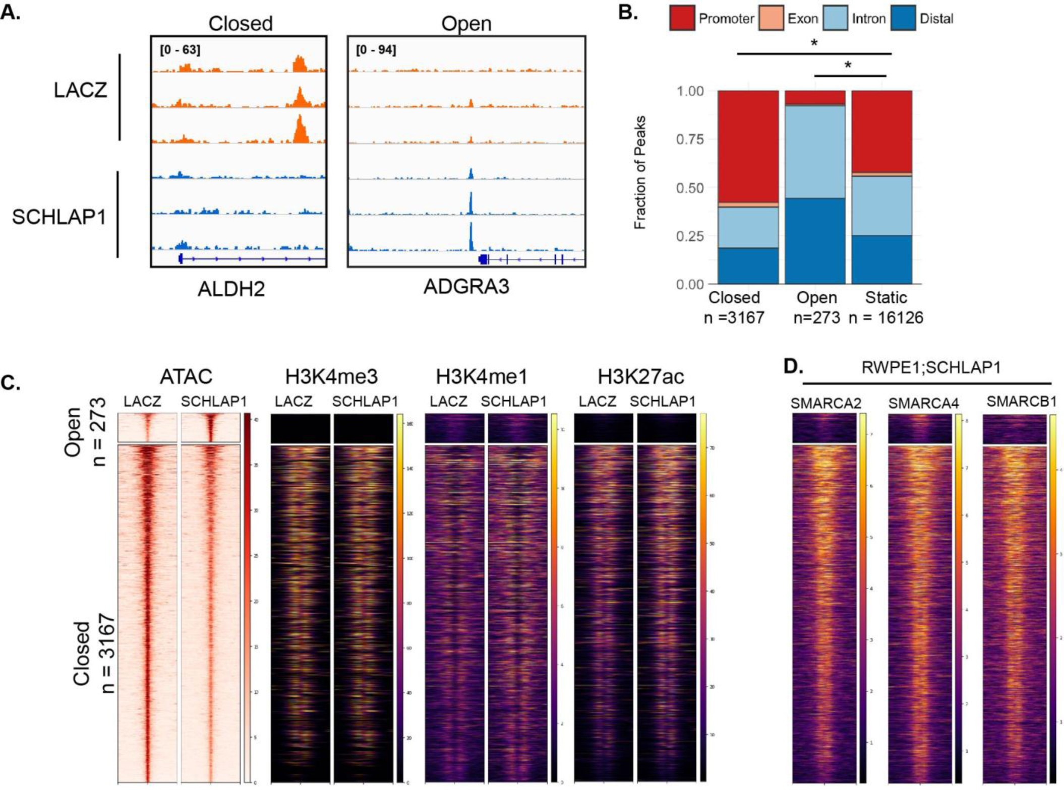 Supplementary Figure 10