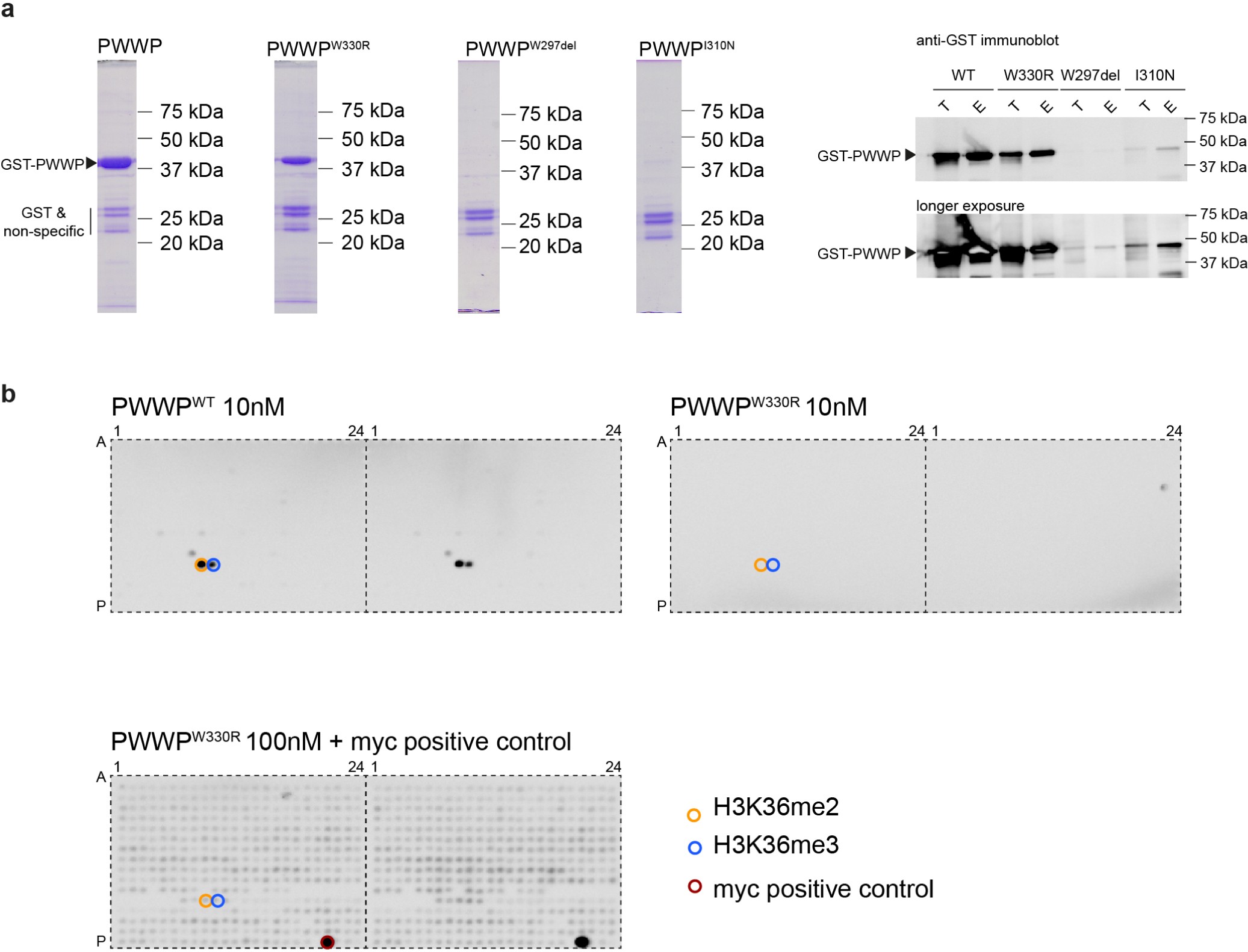Supplementary Figure 1