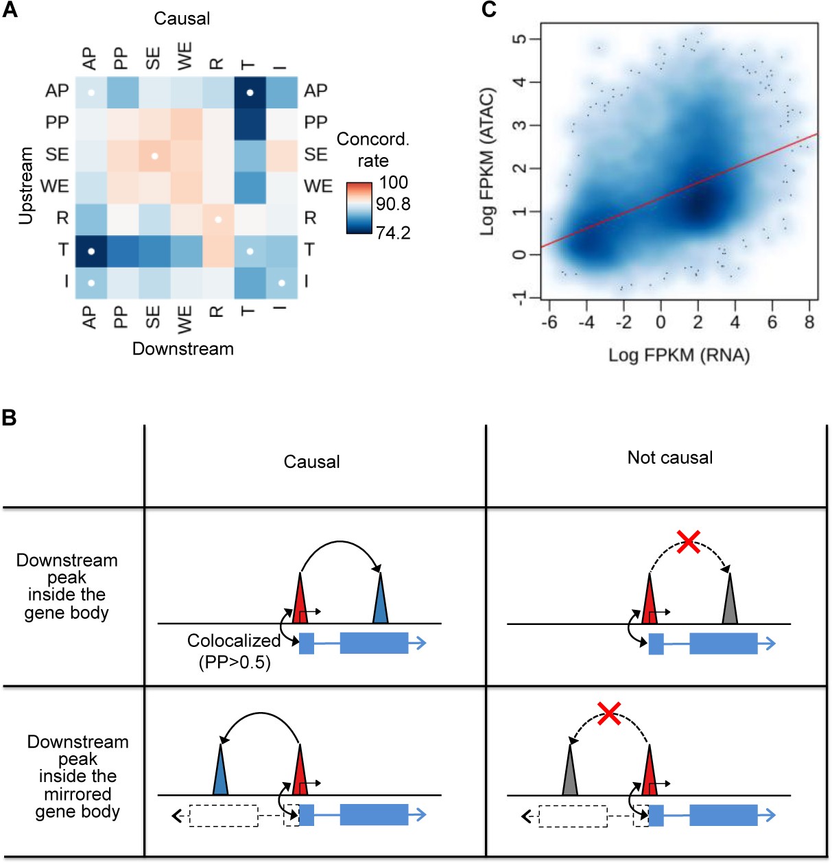 Supplementary Figure 4