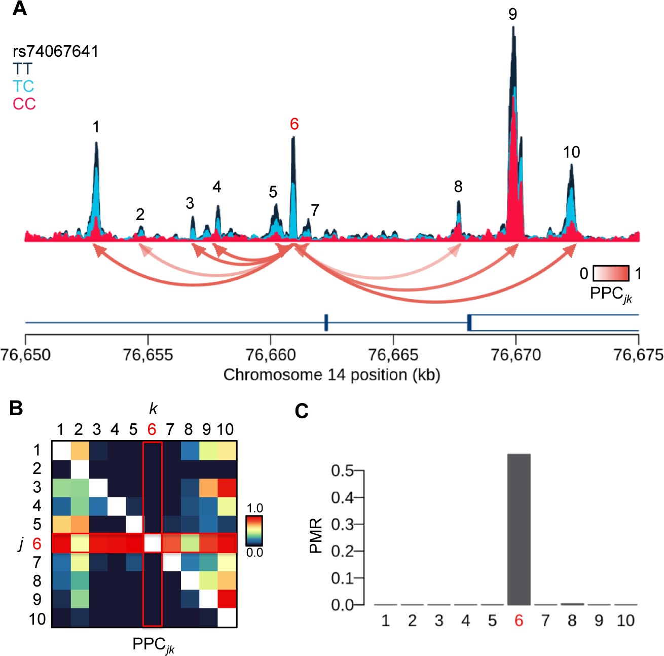 Supplementary Figure 5