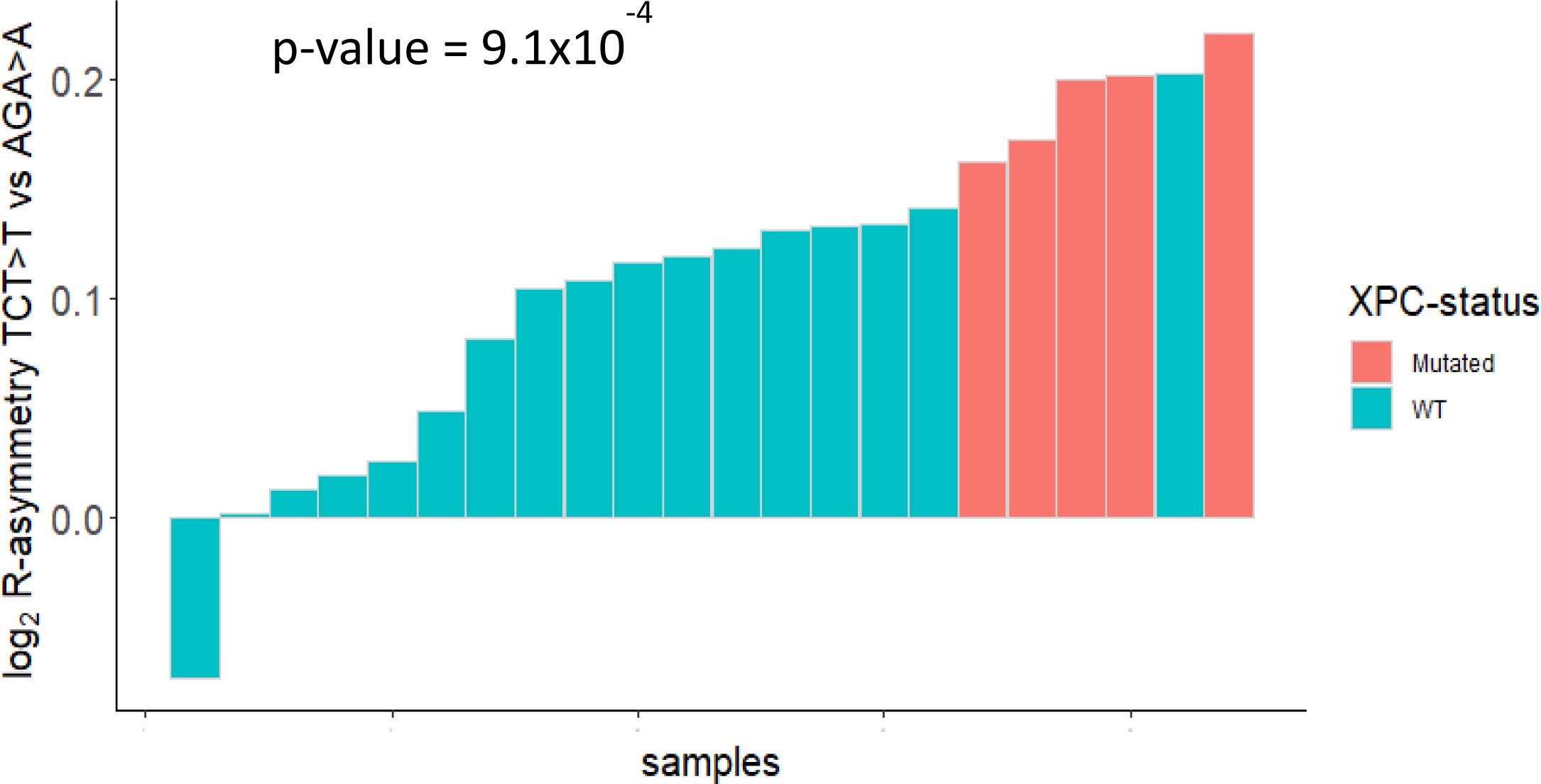 Supplementary Figure 5