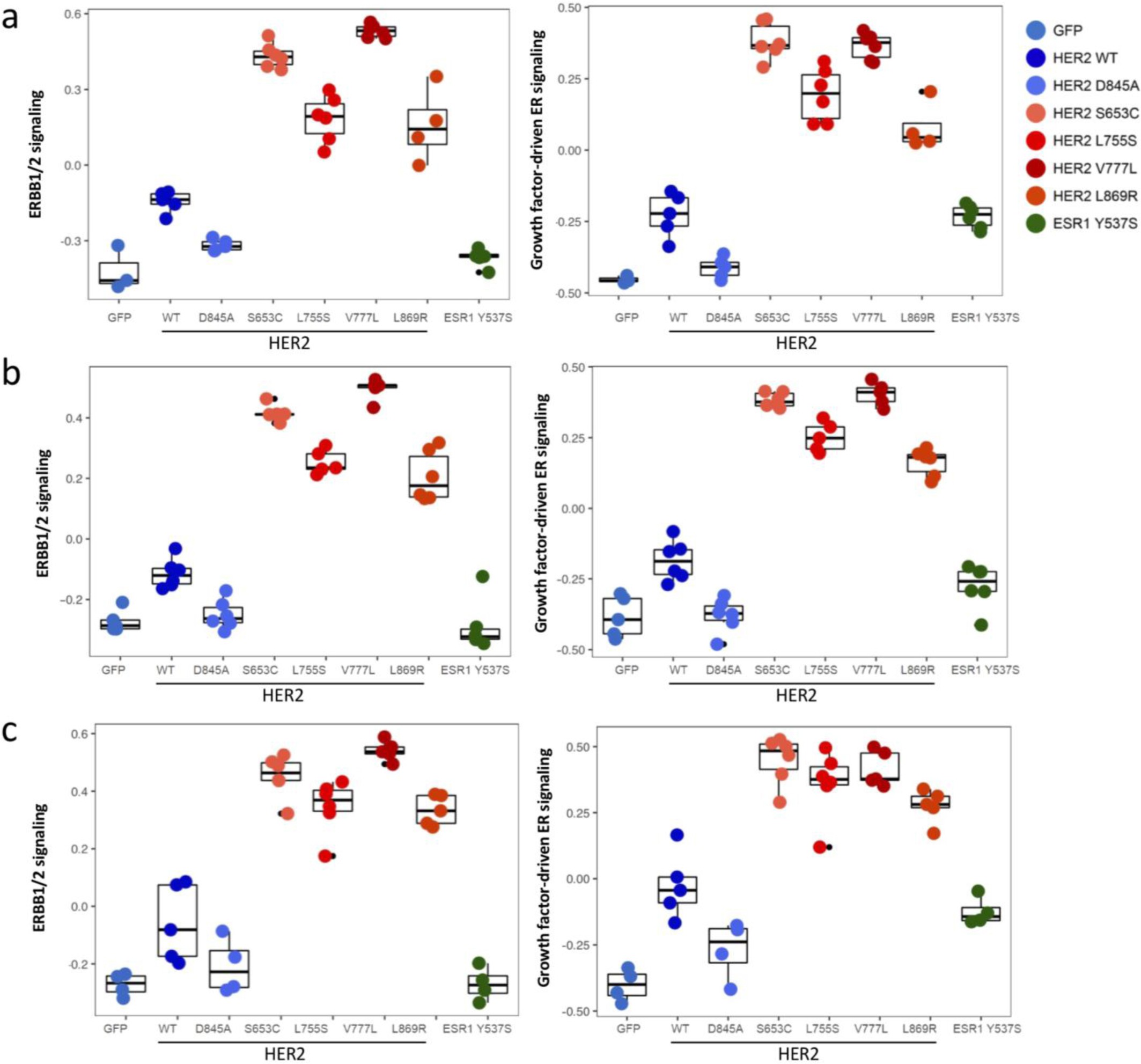Supplementary Figure 9: ERBB1/2 signatures and growth factor-driven ER signatures among HER2 activating mutants and controls.