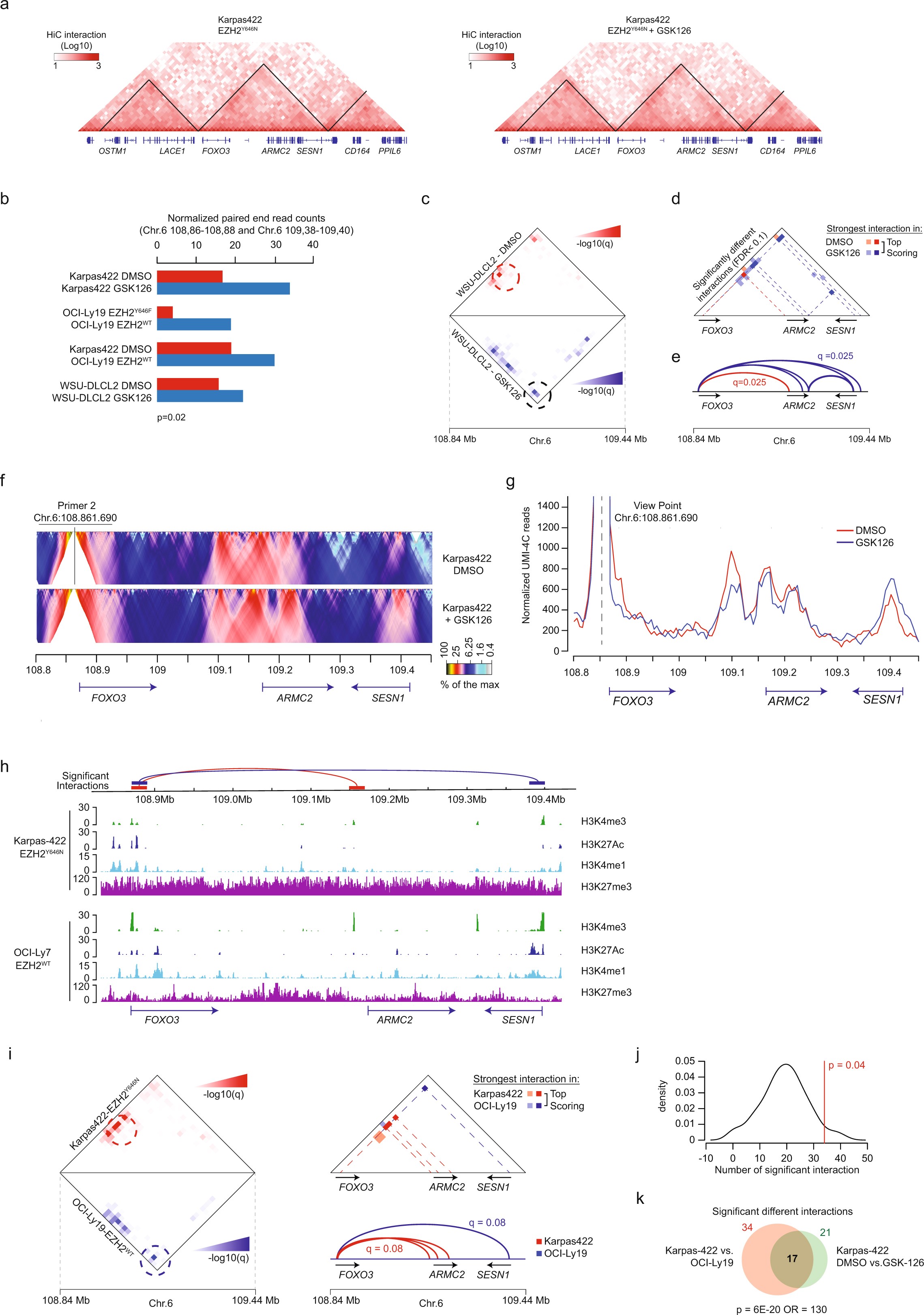 Supplementary Figure 7: Intra-TAD structural changes in EZH2WT and EZH2Y646X cells by interactome.