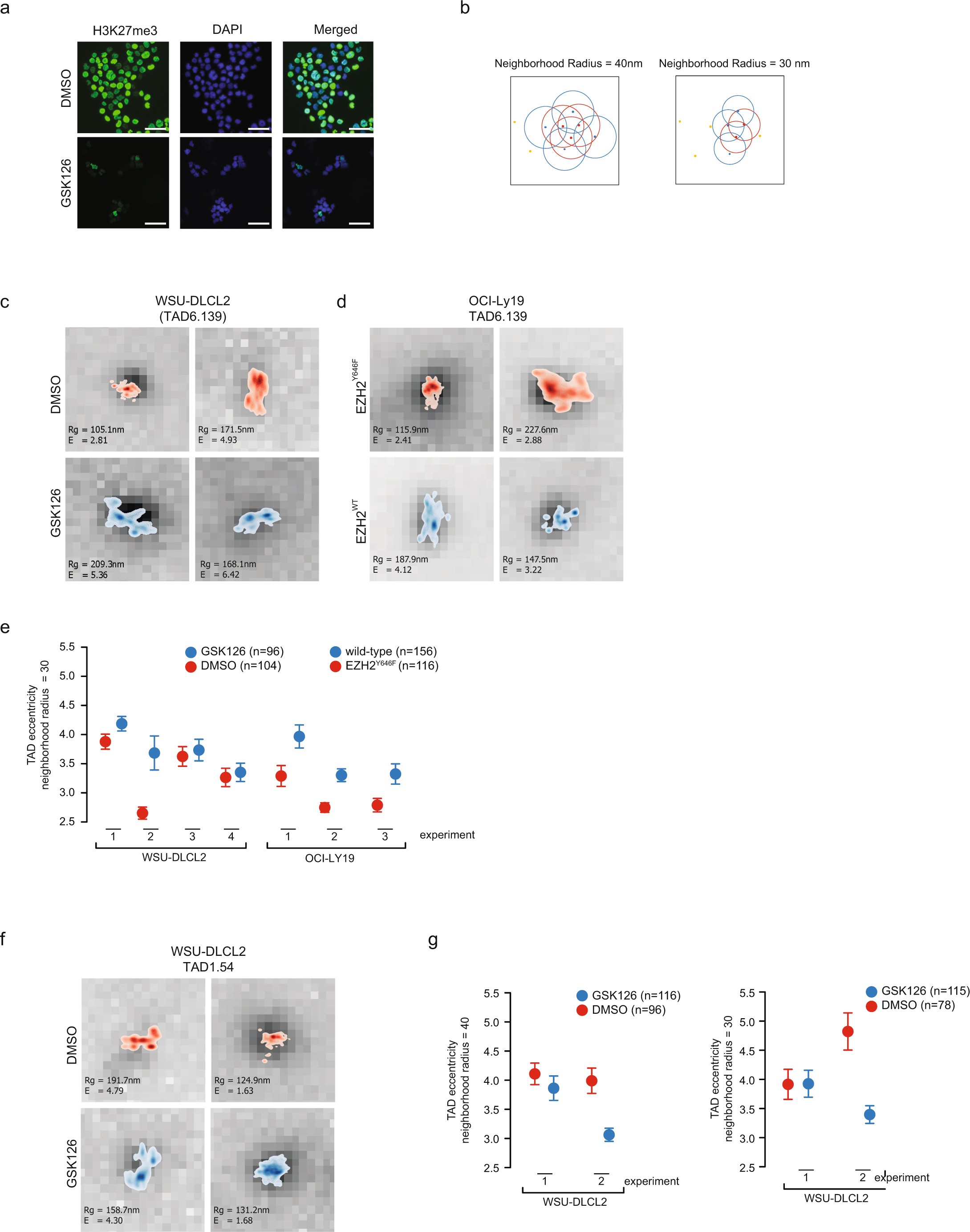 Supplementary Figure 8: Intra-TAD structural changes in EZH2WT and EZH2Y646X cells by STORM.