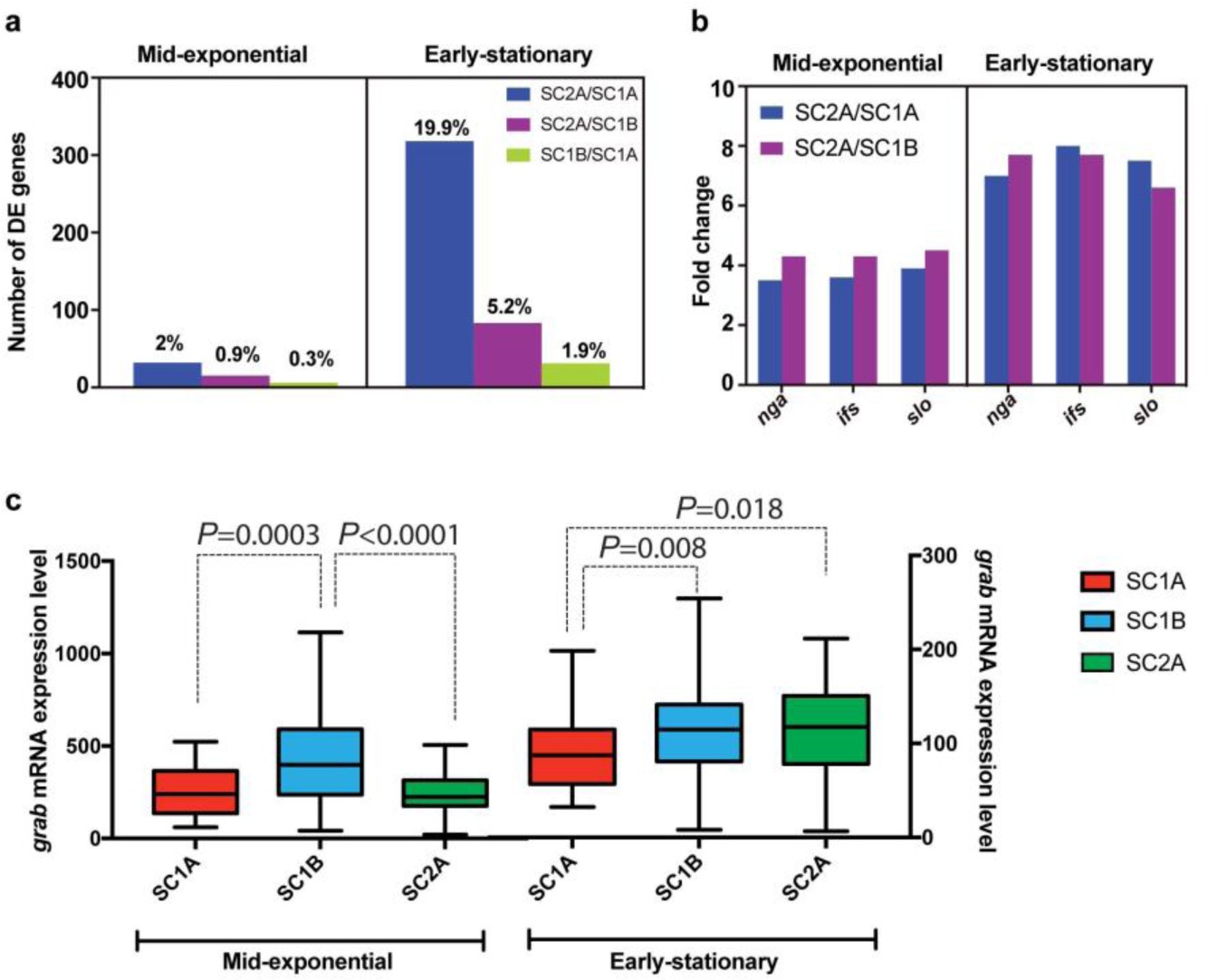Supplementary Figure 5