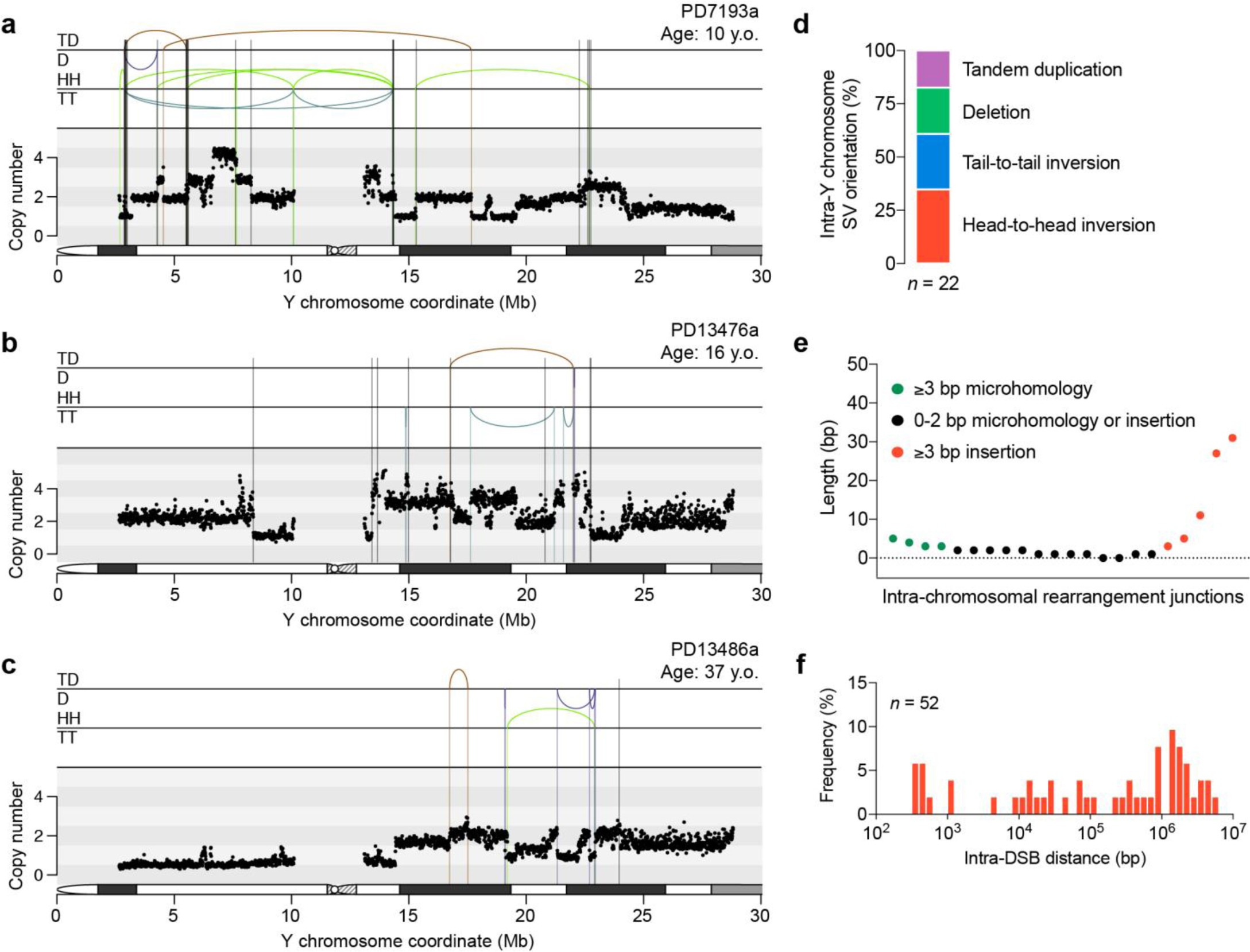 Supplementary Figure 11: Patients with osteosarcoma presenting complex Y chromosome rearrangements coupled to interchromosomal translocations.
