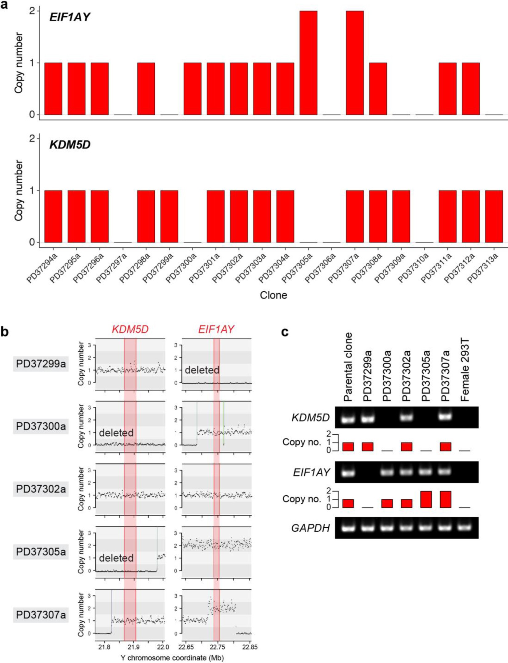 Supplementary Figure 12: DNA copy-number analyses of two somatically expressed Y-chromosome genes.