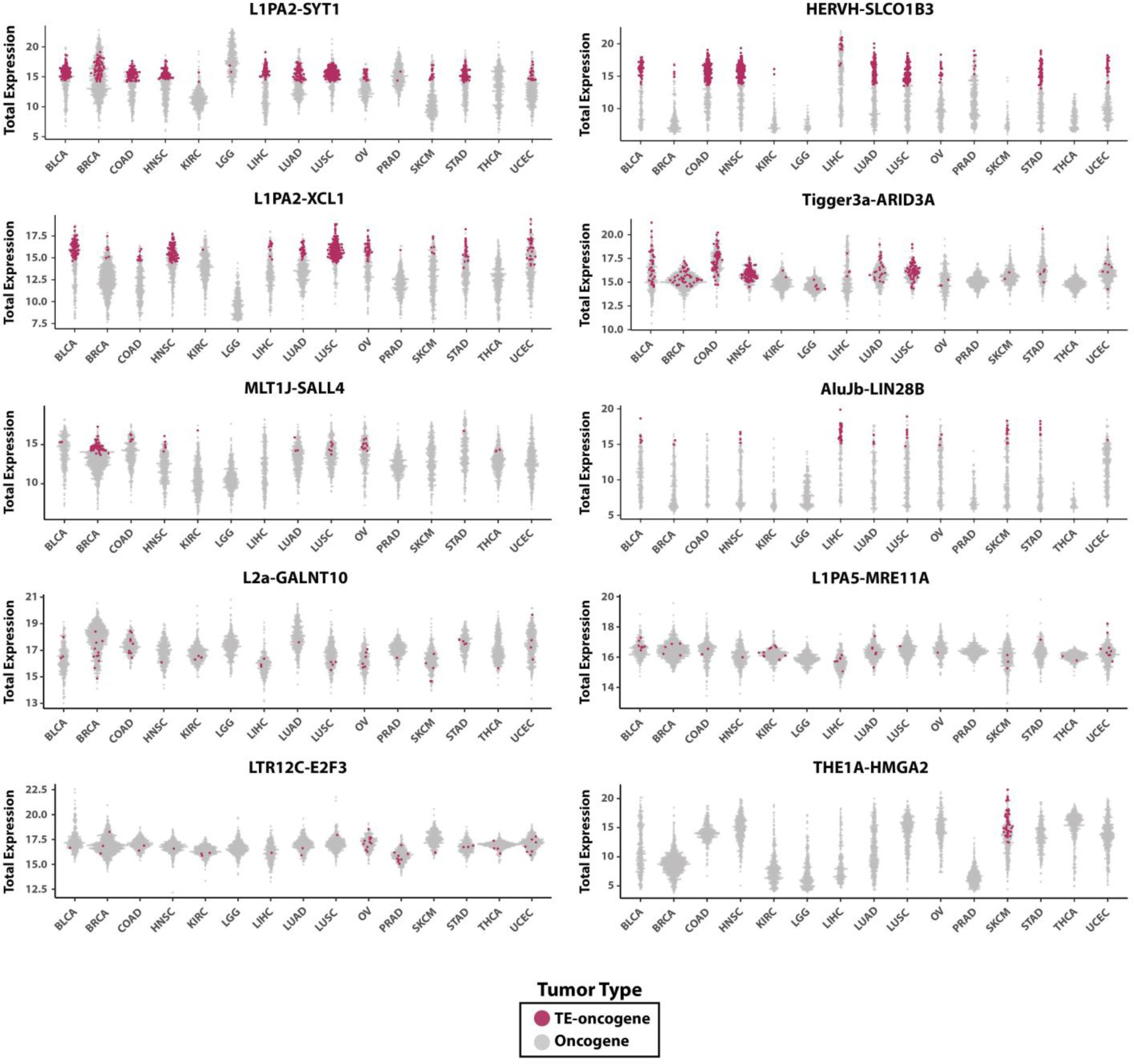 Supplementary Figure 3