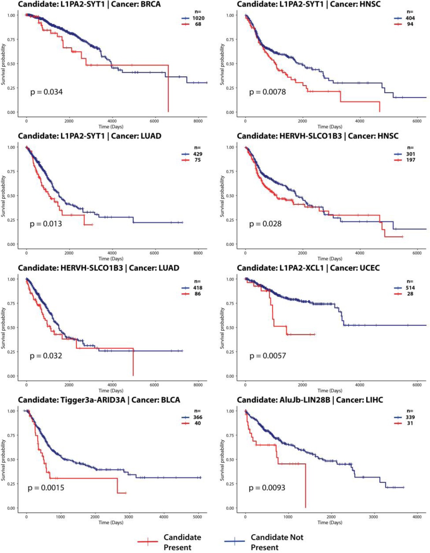 Supplementary Figure 4