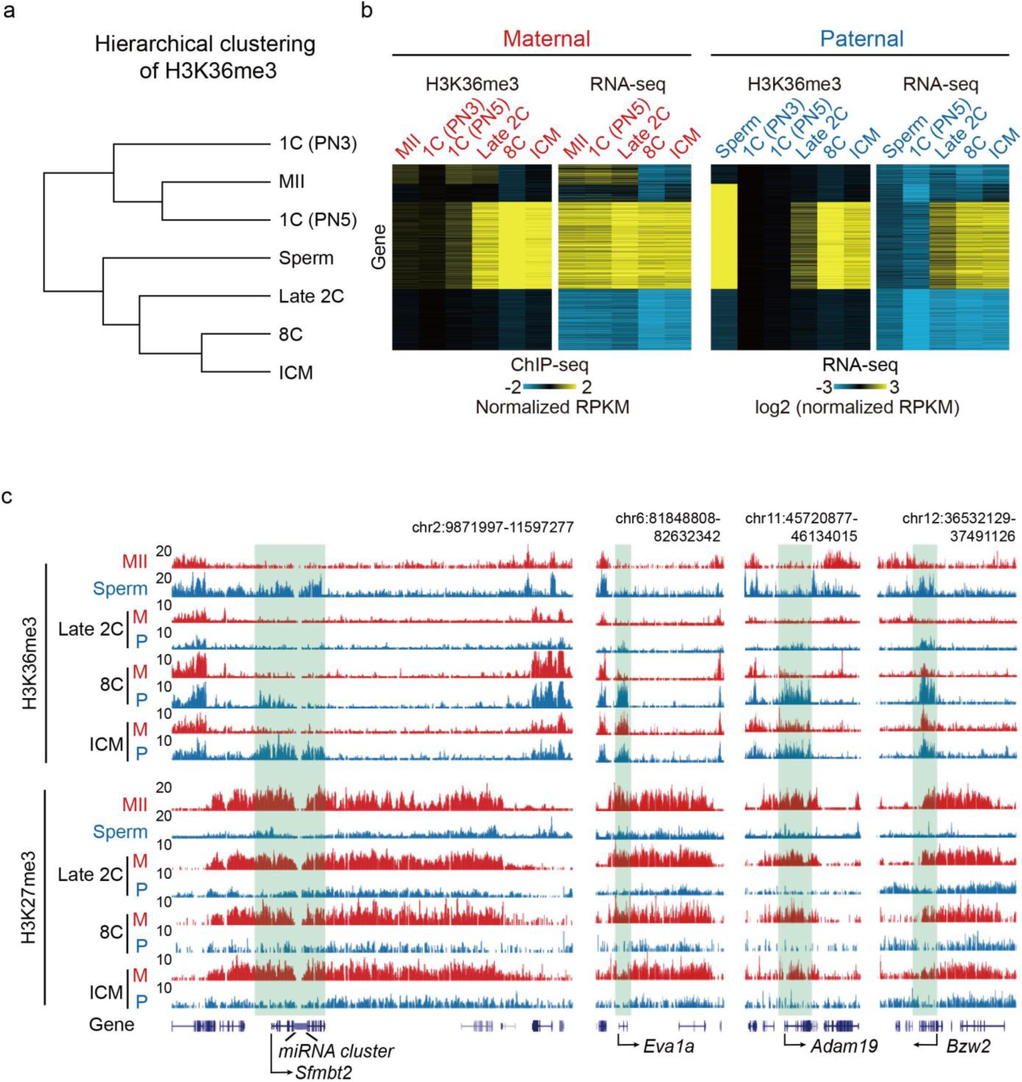 Supplementary Fig. 9