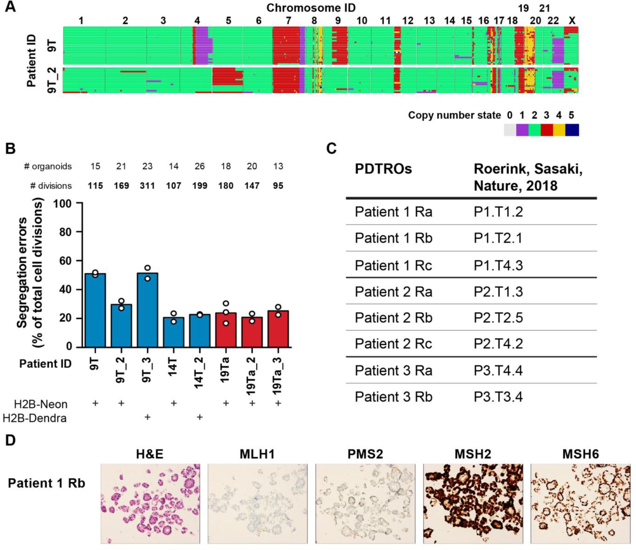 Supplementary Figure 4