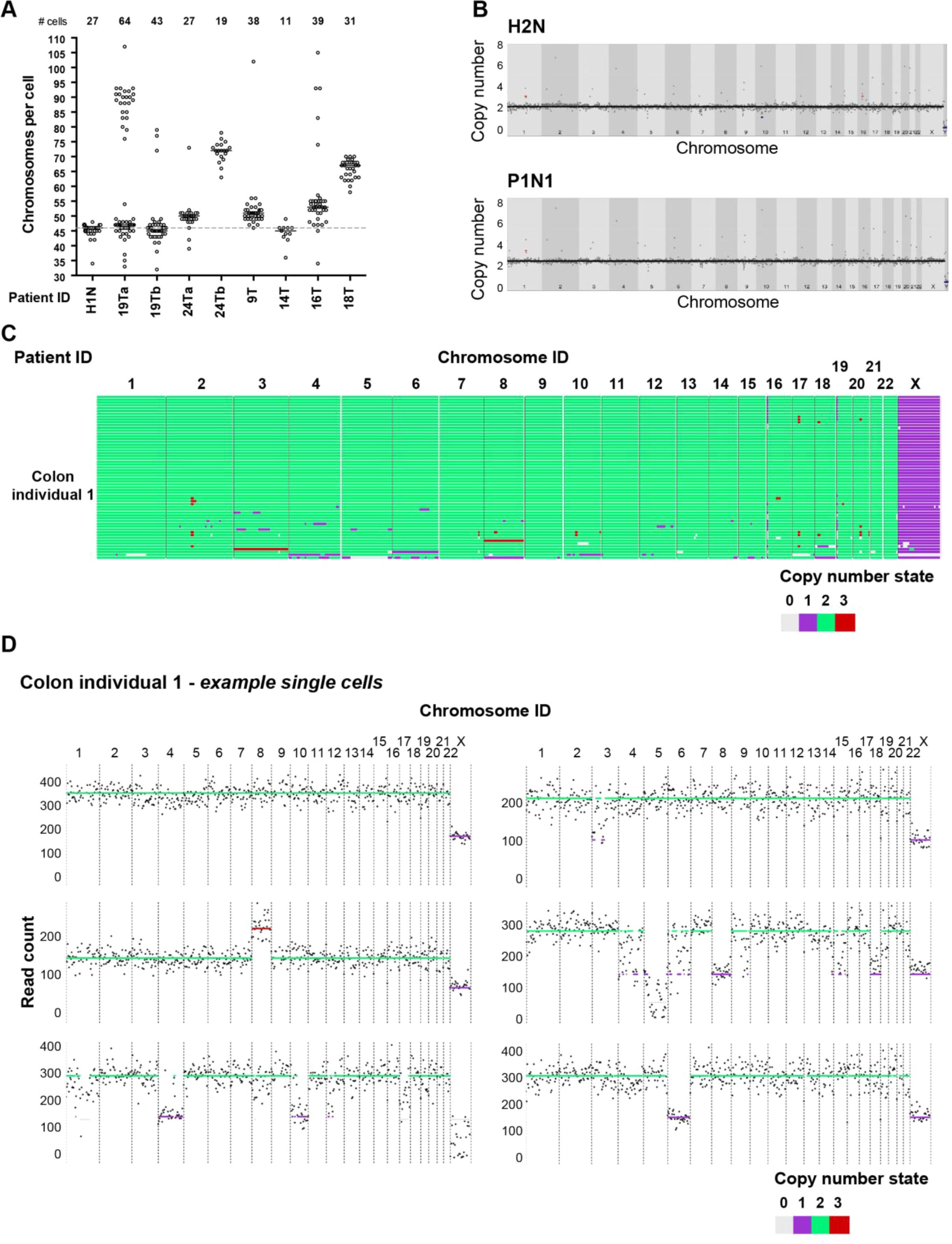 Supplementary Figure 2