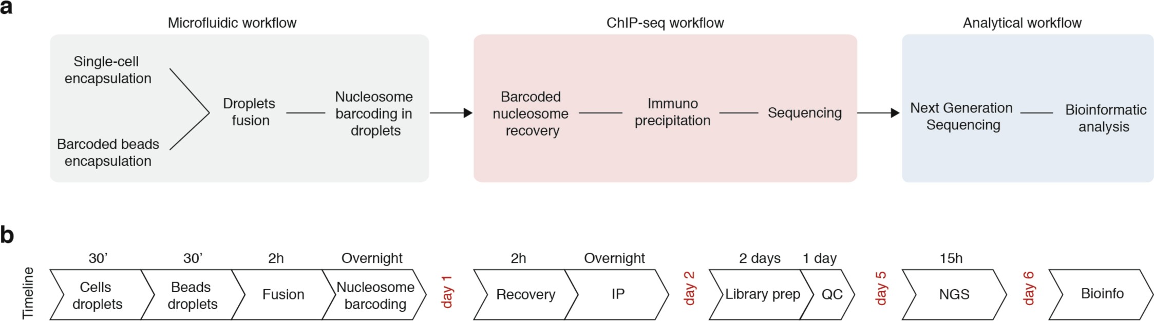 Supplementary Fig. 1: Overview of the single-cell ChIP-seq procedure.