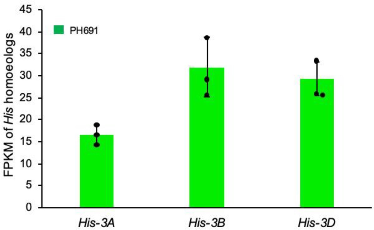 Supplementary Figure 4