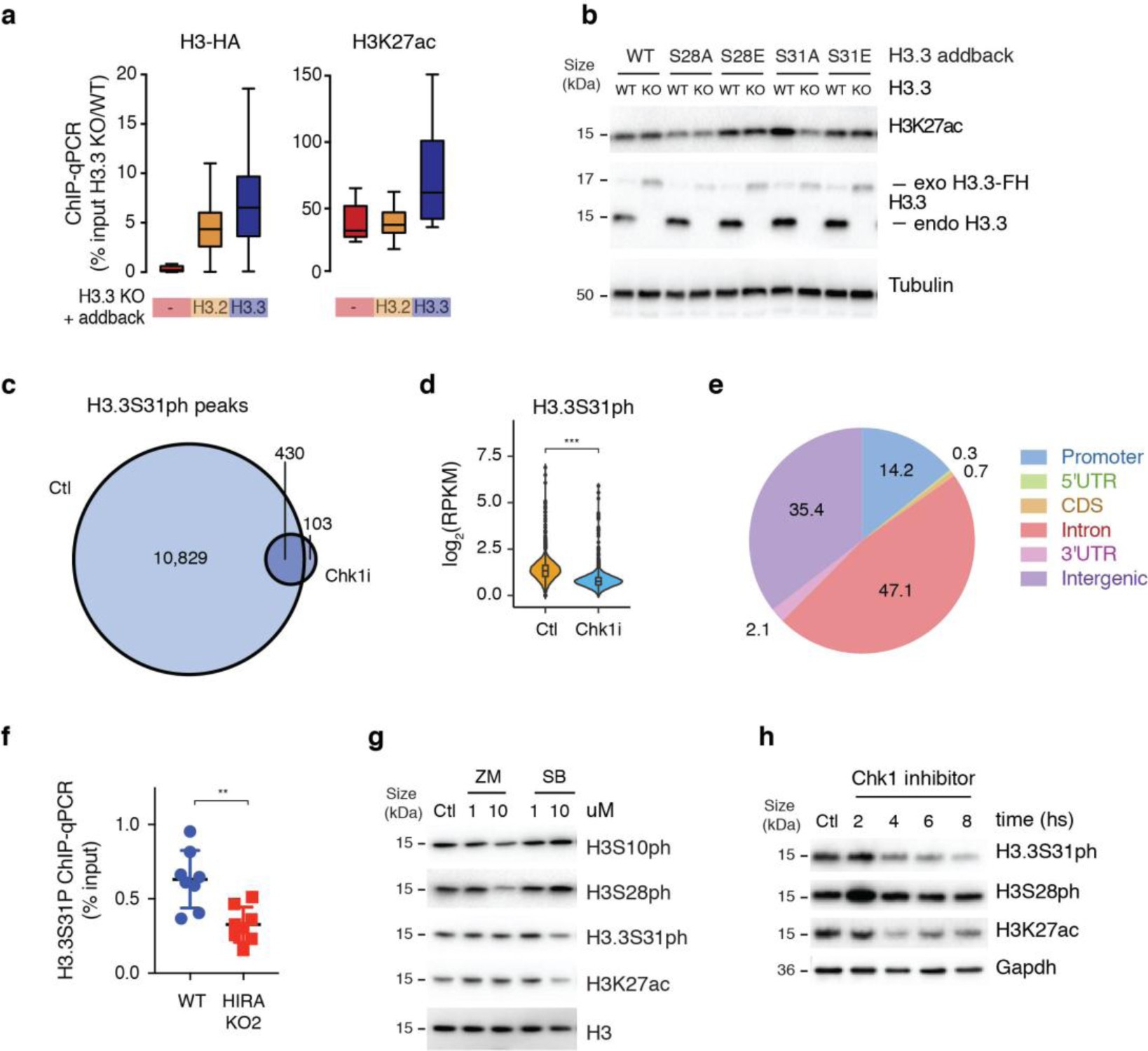 Supplementary Figure 4