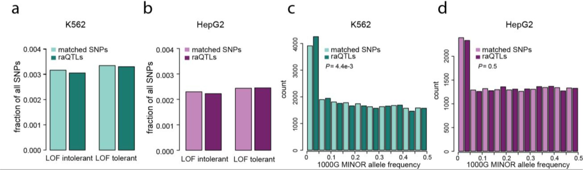 Supplementary Figure 3: Genomic distributions and minor allele frequencies of raQTLs.