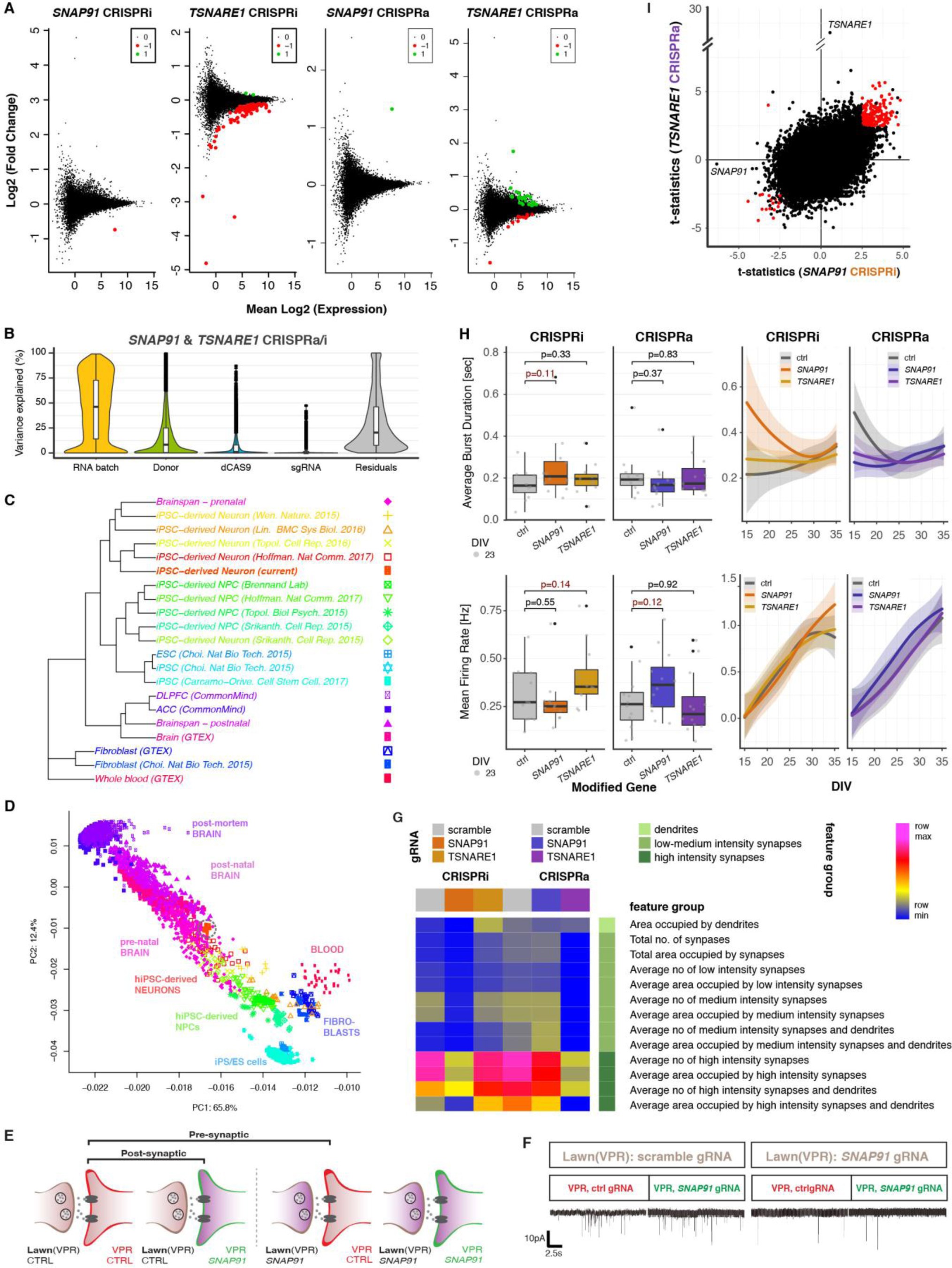Supplementary Figure 3: SNAP91 and TSNARE1 CRISPRa/i perturbations.