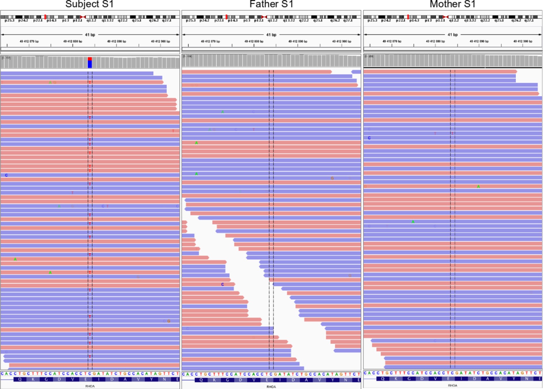 Supplementary Fig. 3