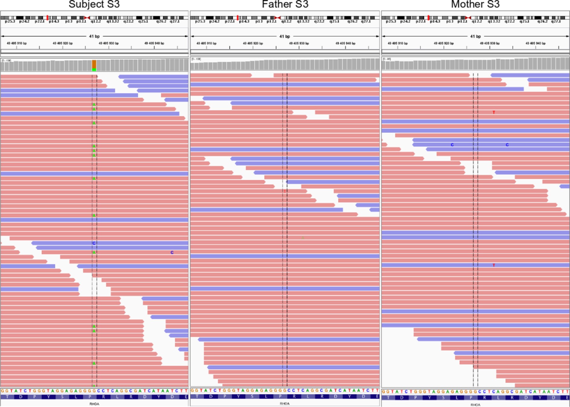 Supplementary Fig. 5