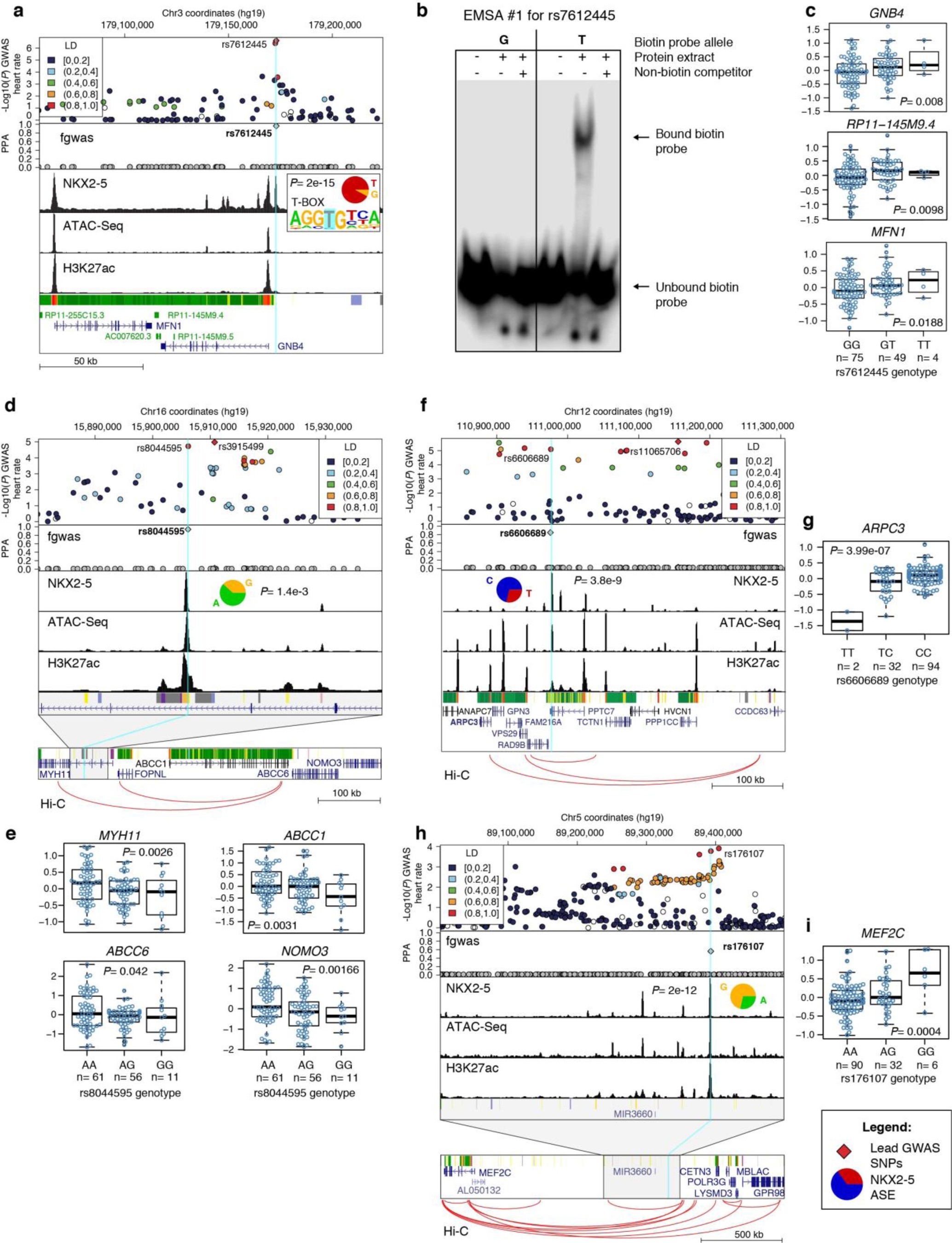 Supplementary Figure 8