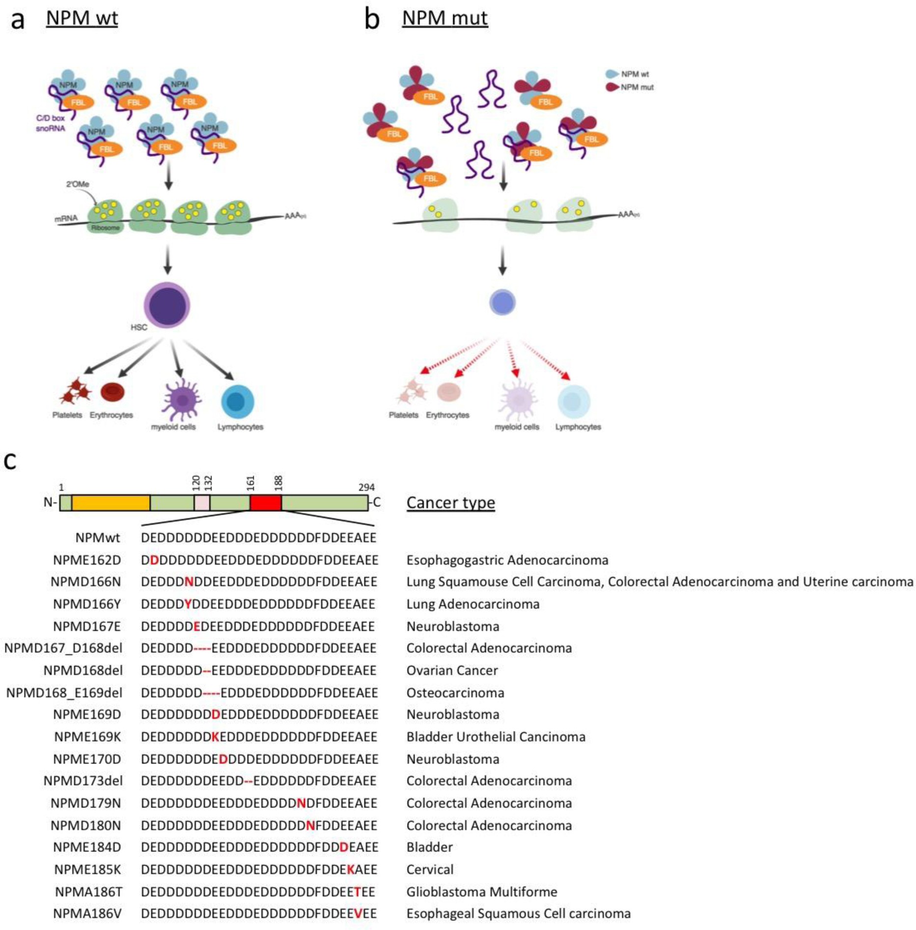 Supplementary Fig. 10