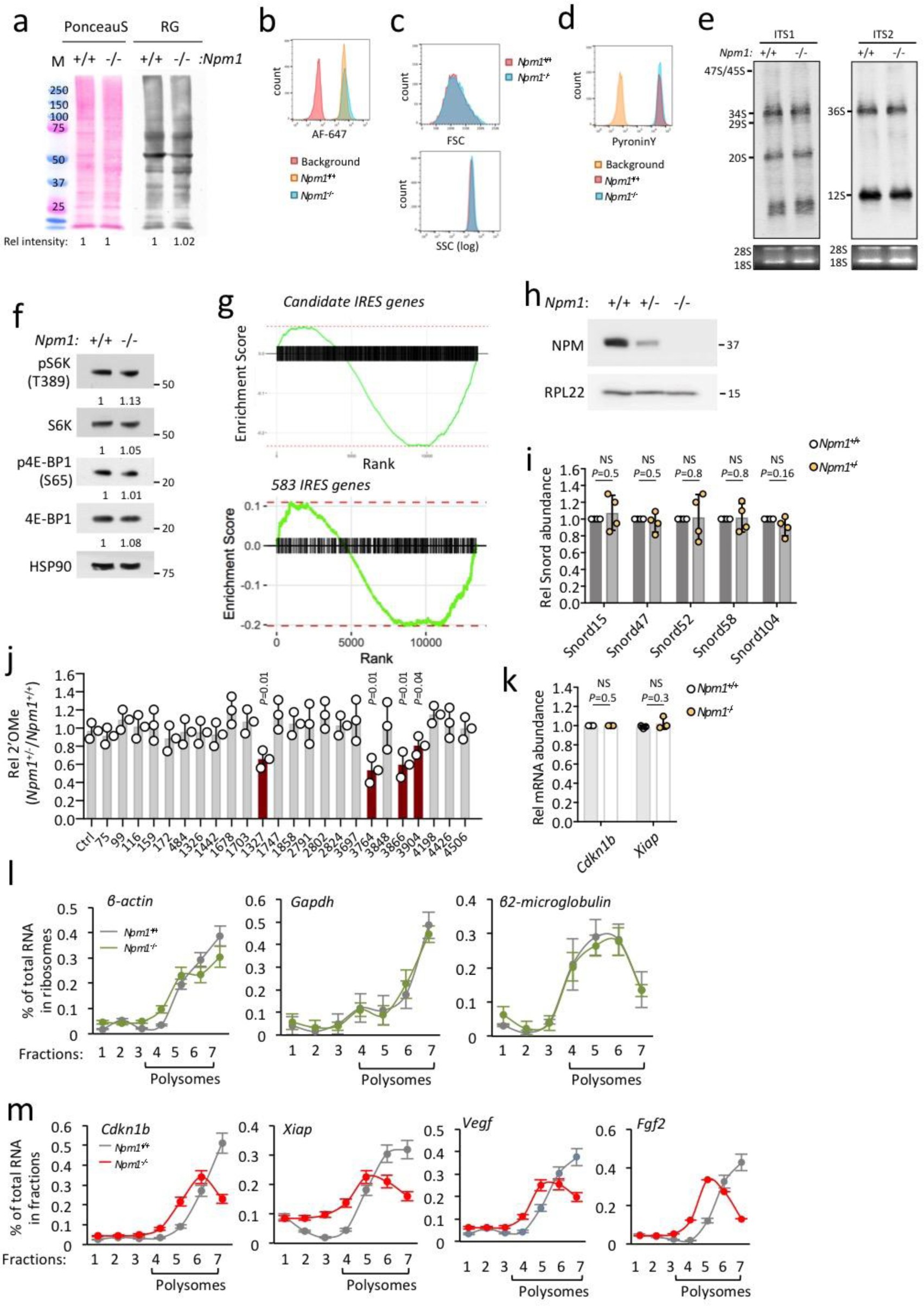Supplementary Fig. 2