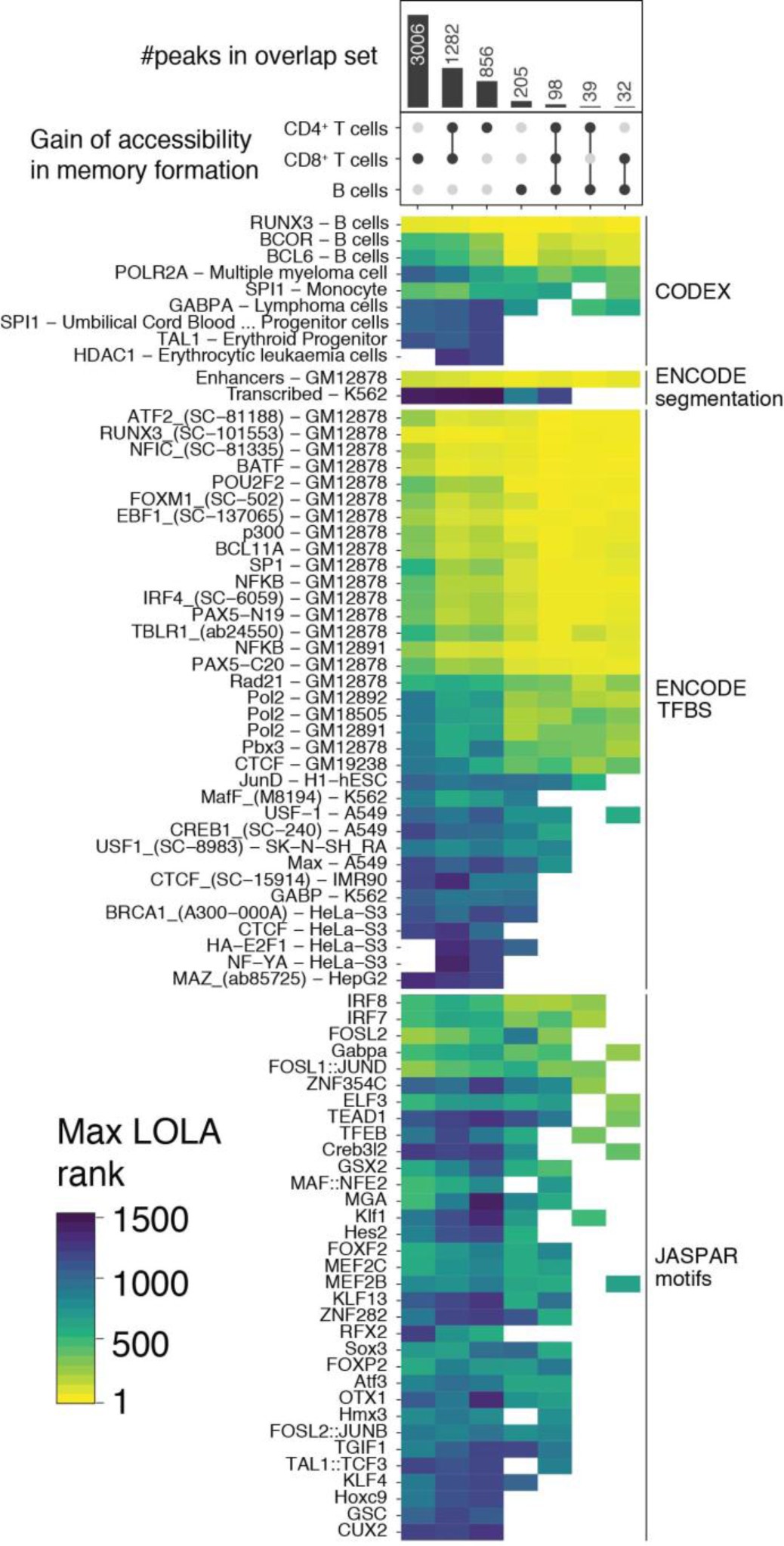 Supplementary Fig. 3: Functional enrichment of differentially accessible regions.