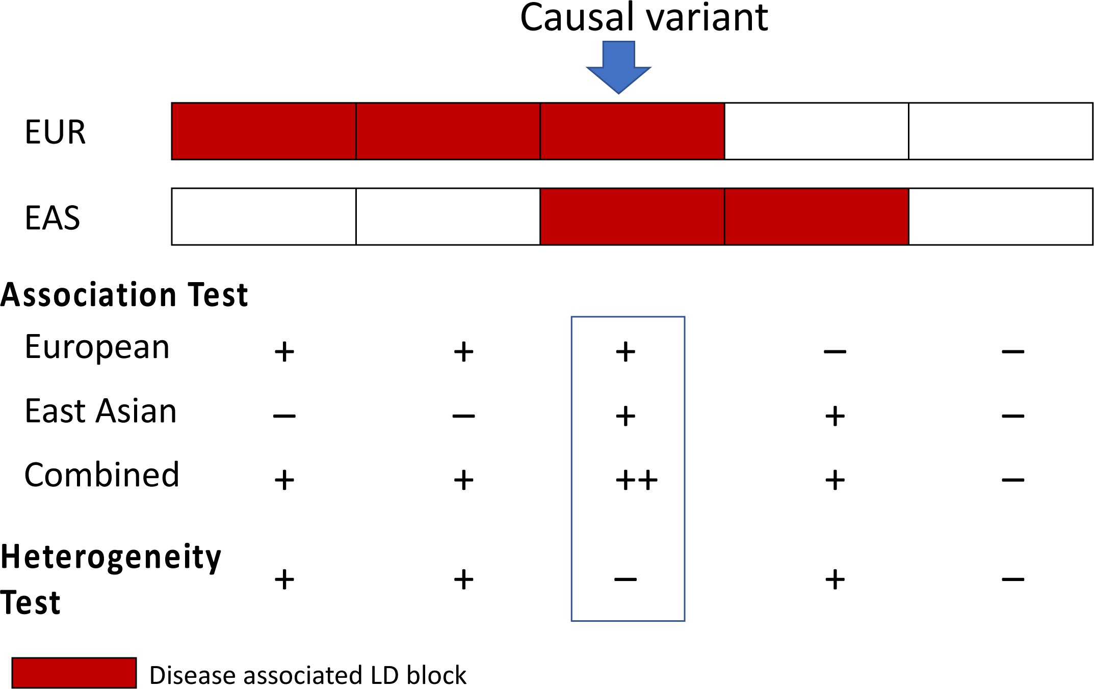 Extended Data Fig. 6: Trans-ethnicity fine-mapping.