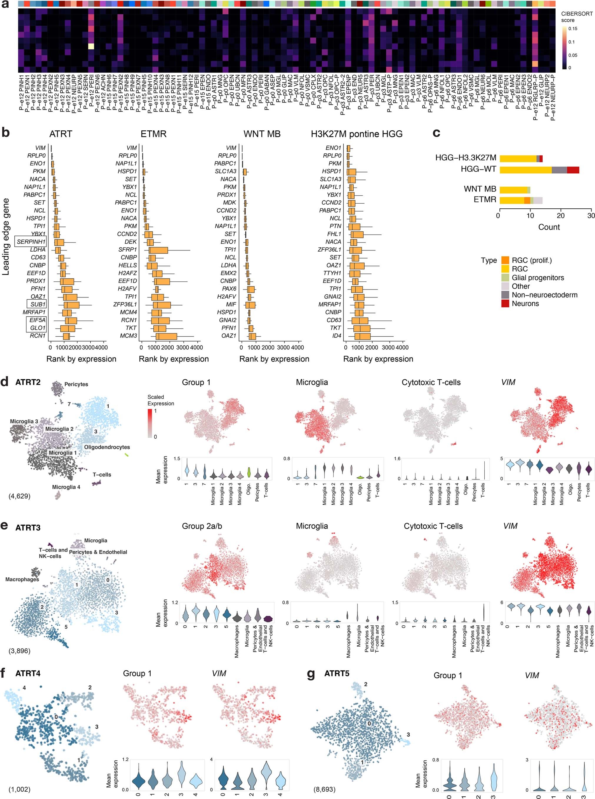 Extended Data Fig. 7: Characterization and mapping of ATRT patient samples.