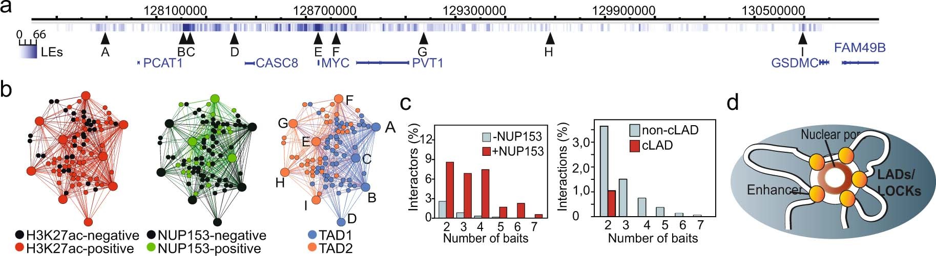 Extended Data Fig. 3