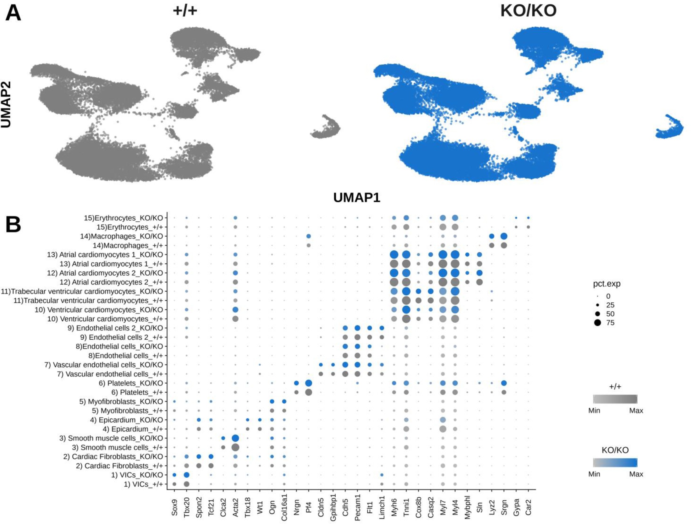 Supplementary Fig. 10